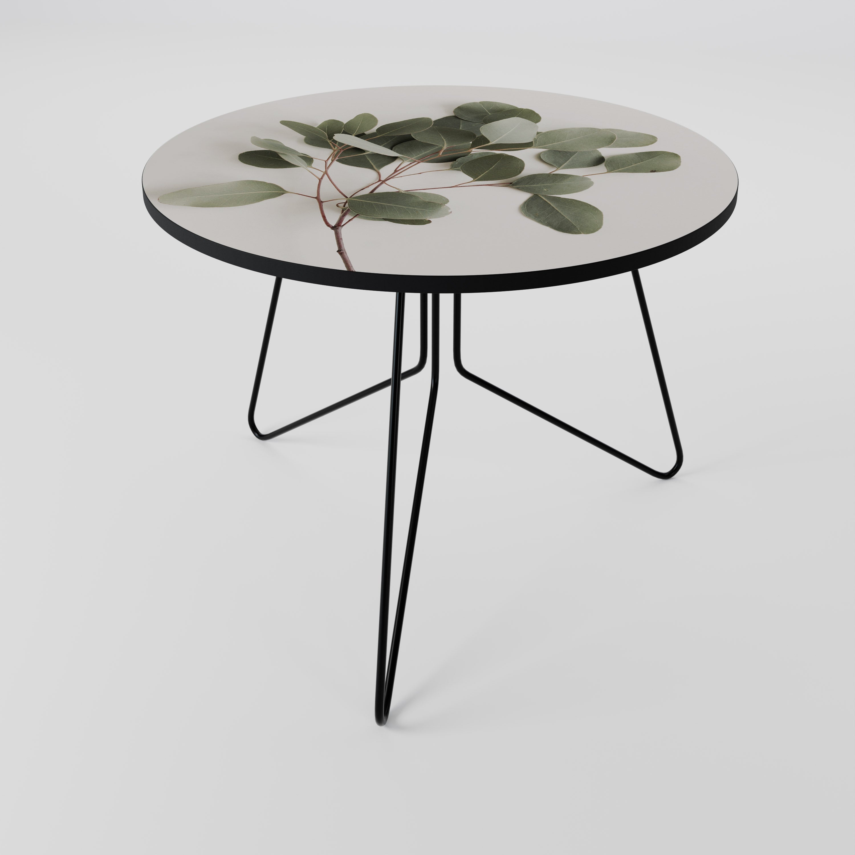 Table basse BRANCHE D'EUCALYPTUS 69