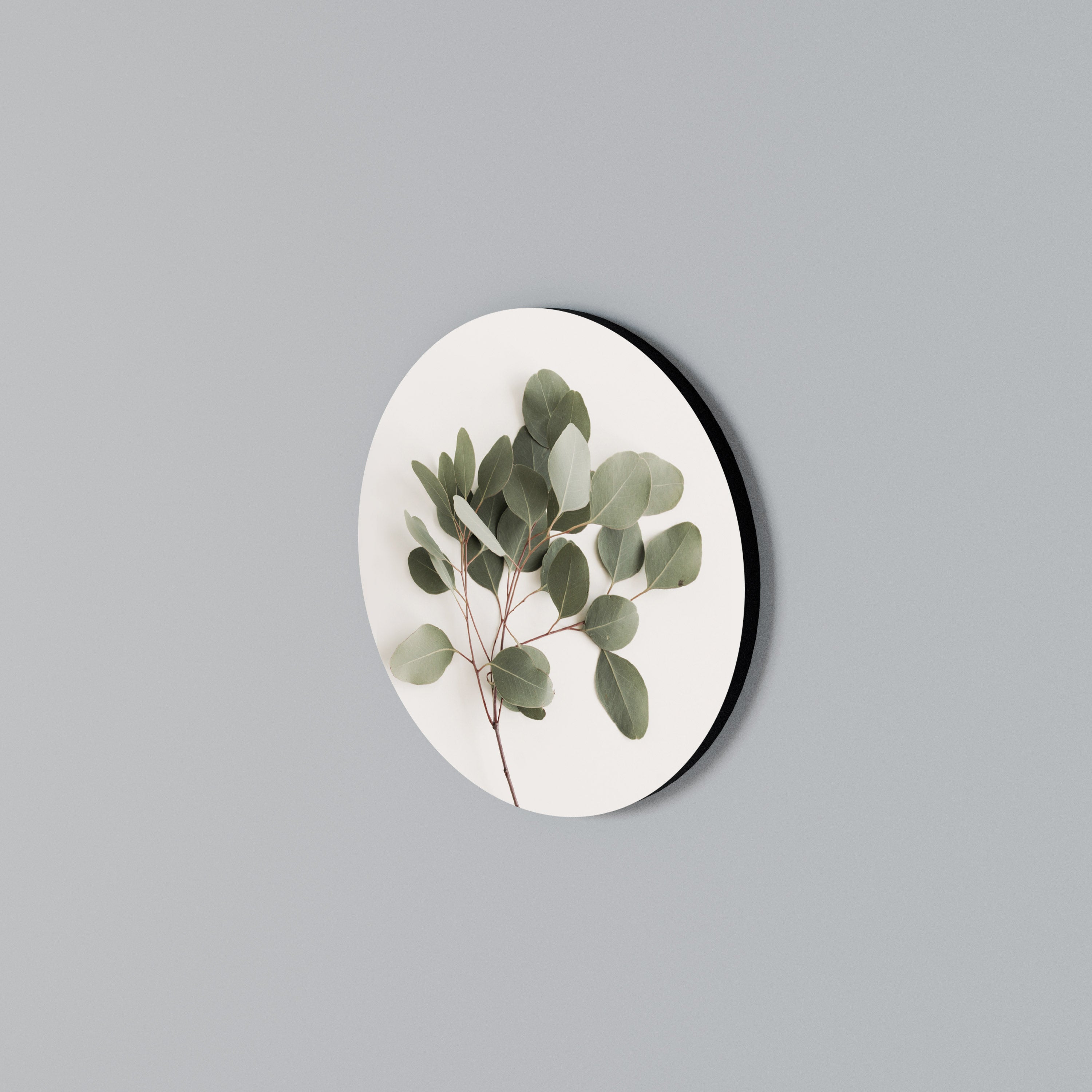 EUCALYPTUS BRANCH Round Wall Art