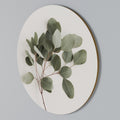 EUCALYPTUS BRANCH Round Wall Art