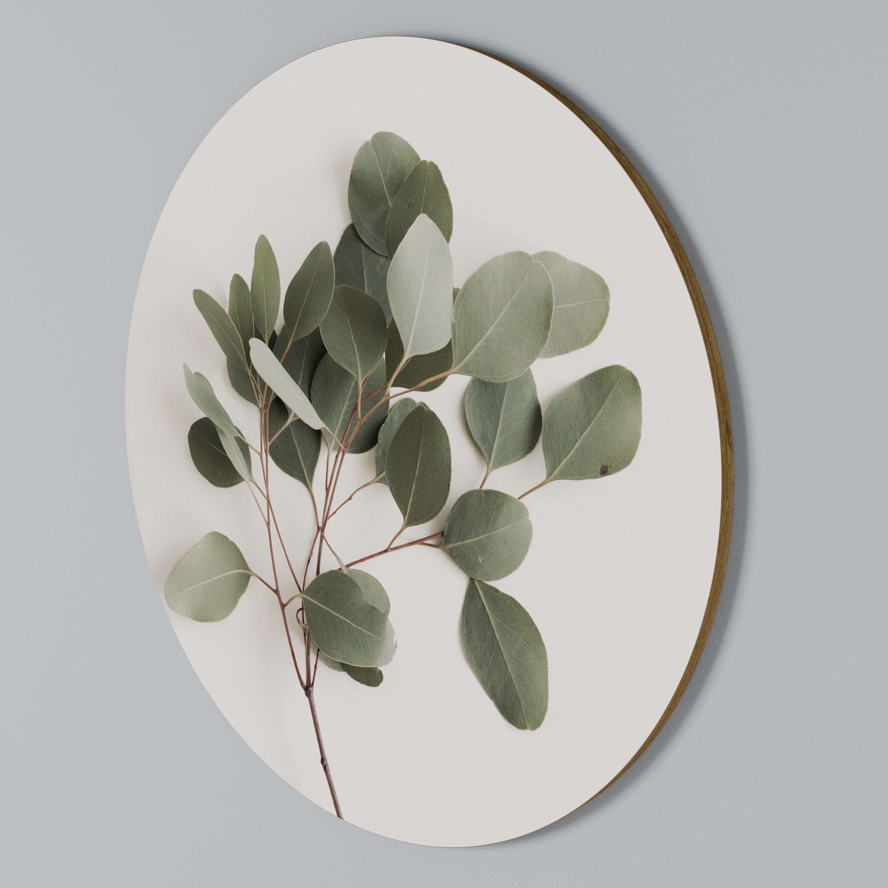 EUCALYPTUS BRANCH Round Wall Art
