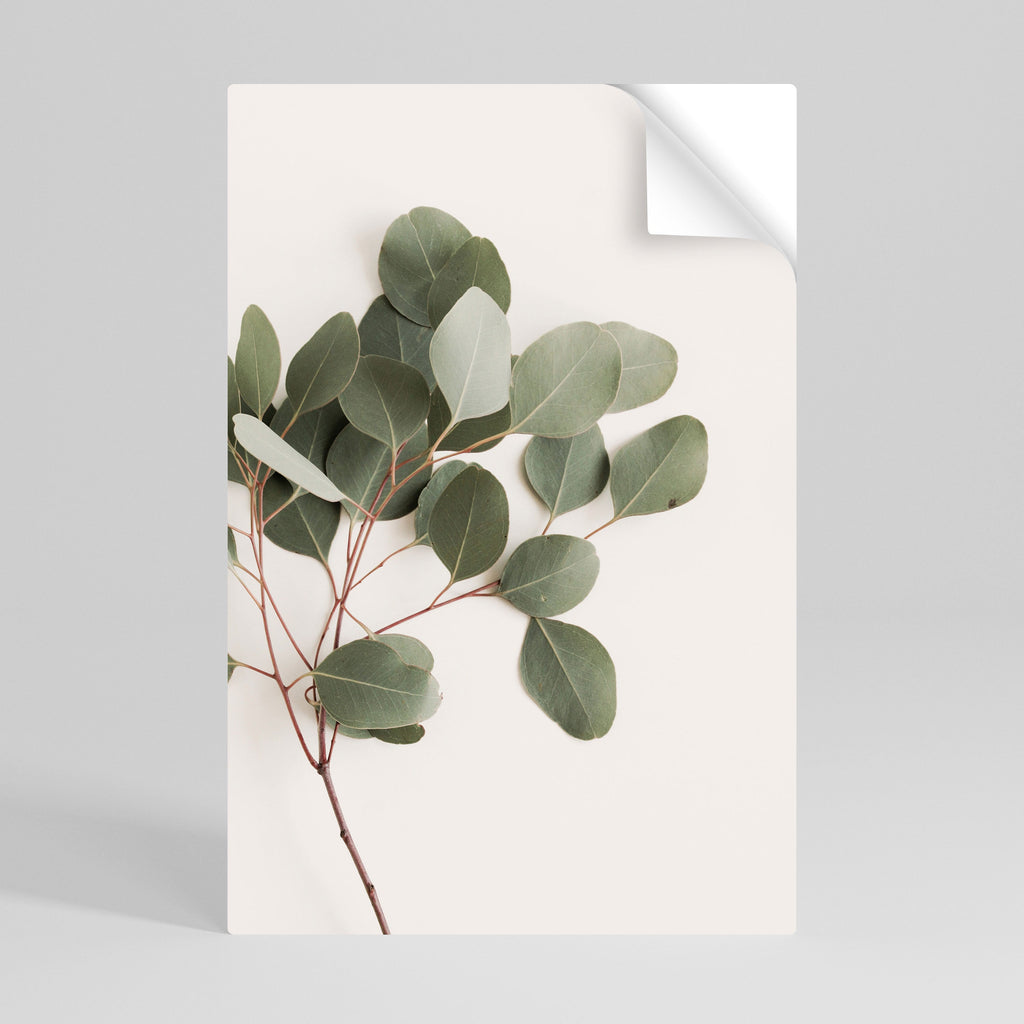 Affiche verticale autocollante « BRANCHE D'EUCALYPTUS »