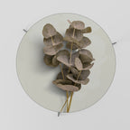 TIMELESS GREENERY Coffee Table