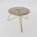 ELEGANT ASCENT Coffee Table