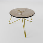 ELEGANT ASCENT Coffee Table