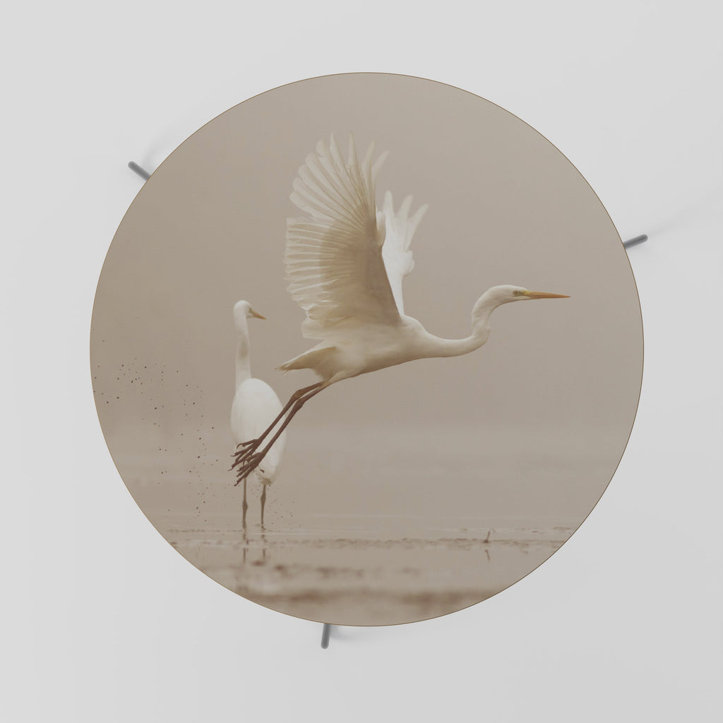 Table basse ELEGANT ASCENT 69