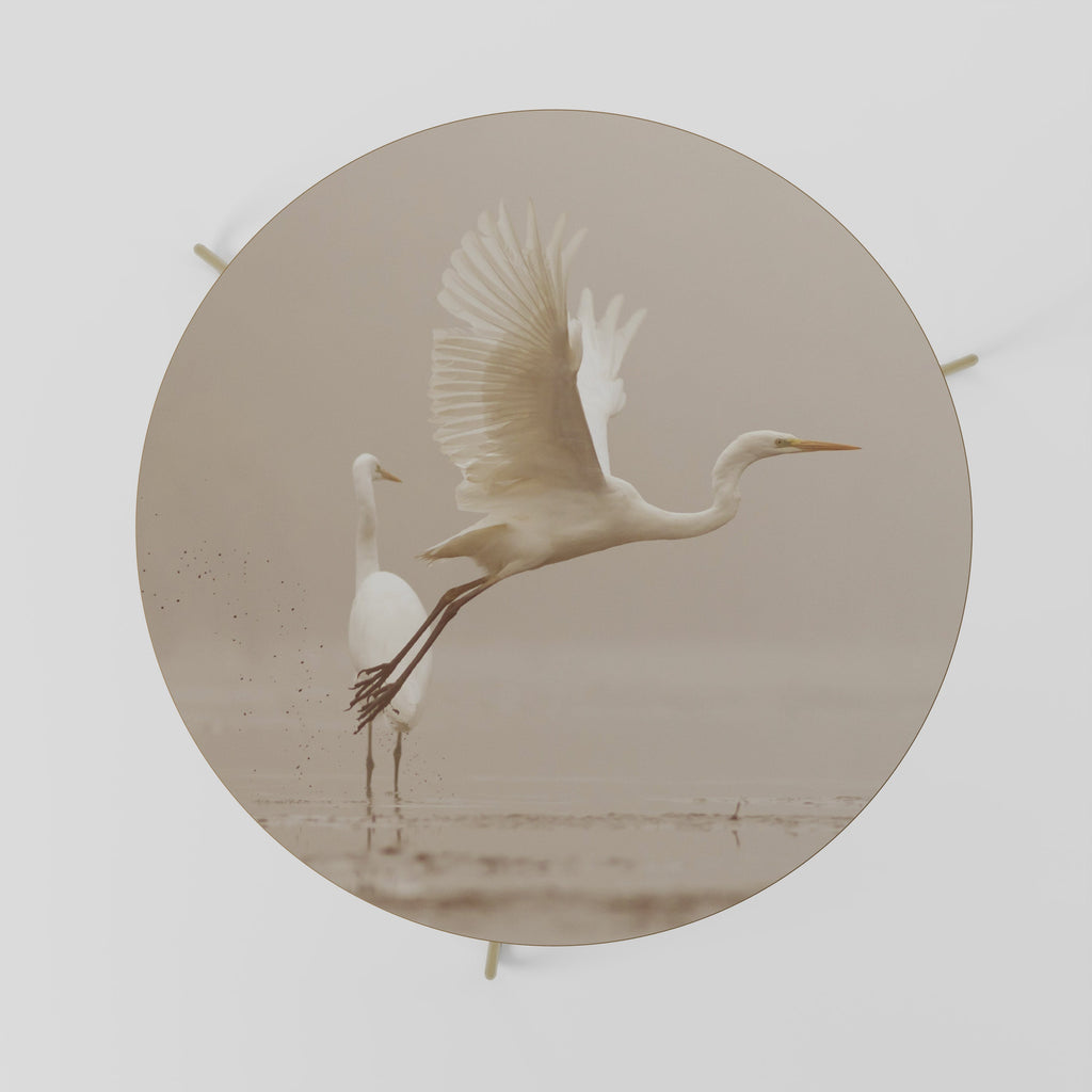 Table basse ELEGANT ASCENT 69