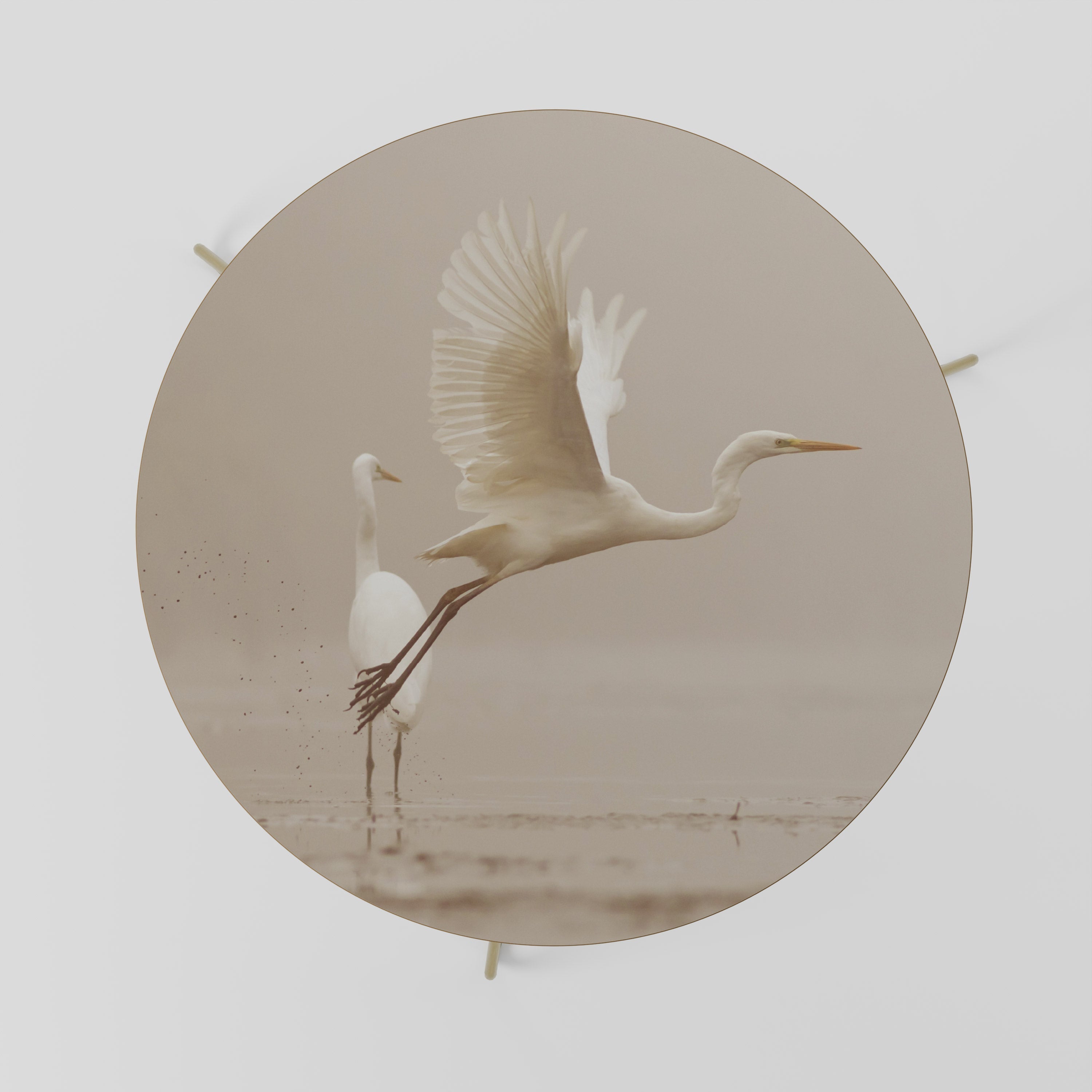 Table basse ELEGANT ASCENT 69