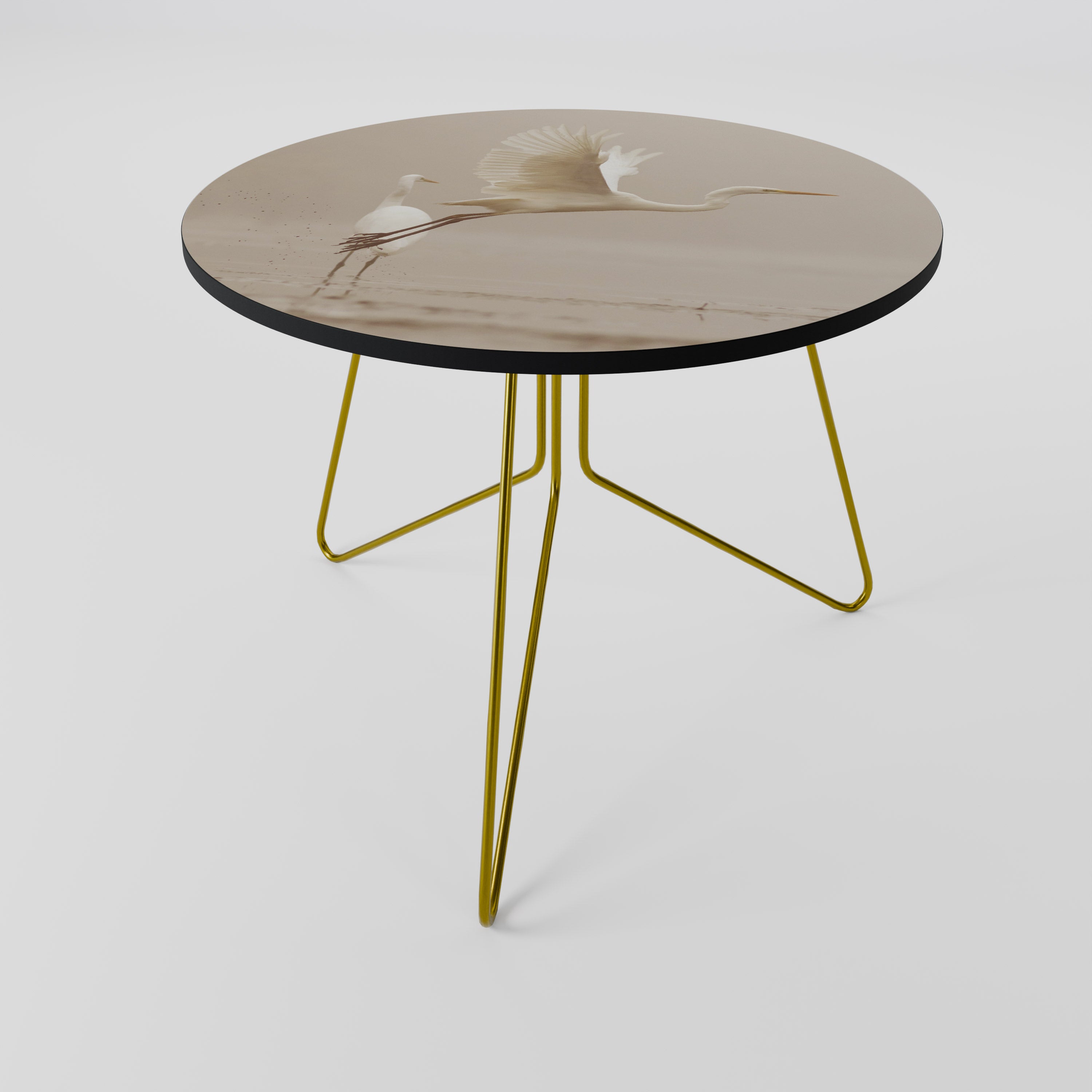 ELEGANT ASCENT Coffee Table