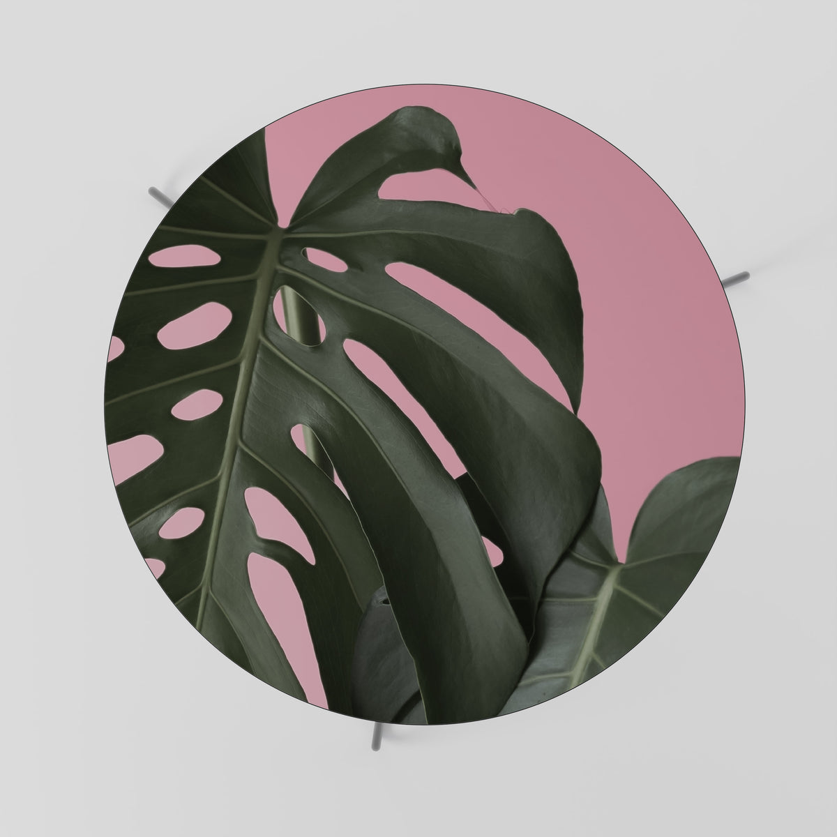 LADY MONSTERA Coffee Table