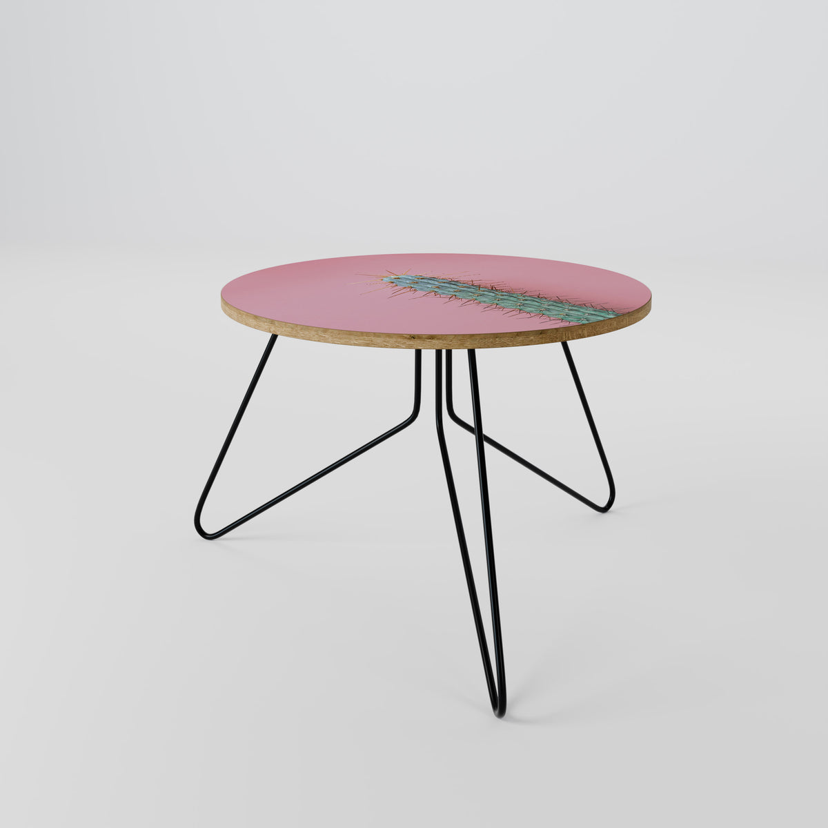 MISTER CACTUS Coffee Table