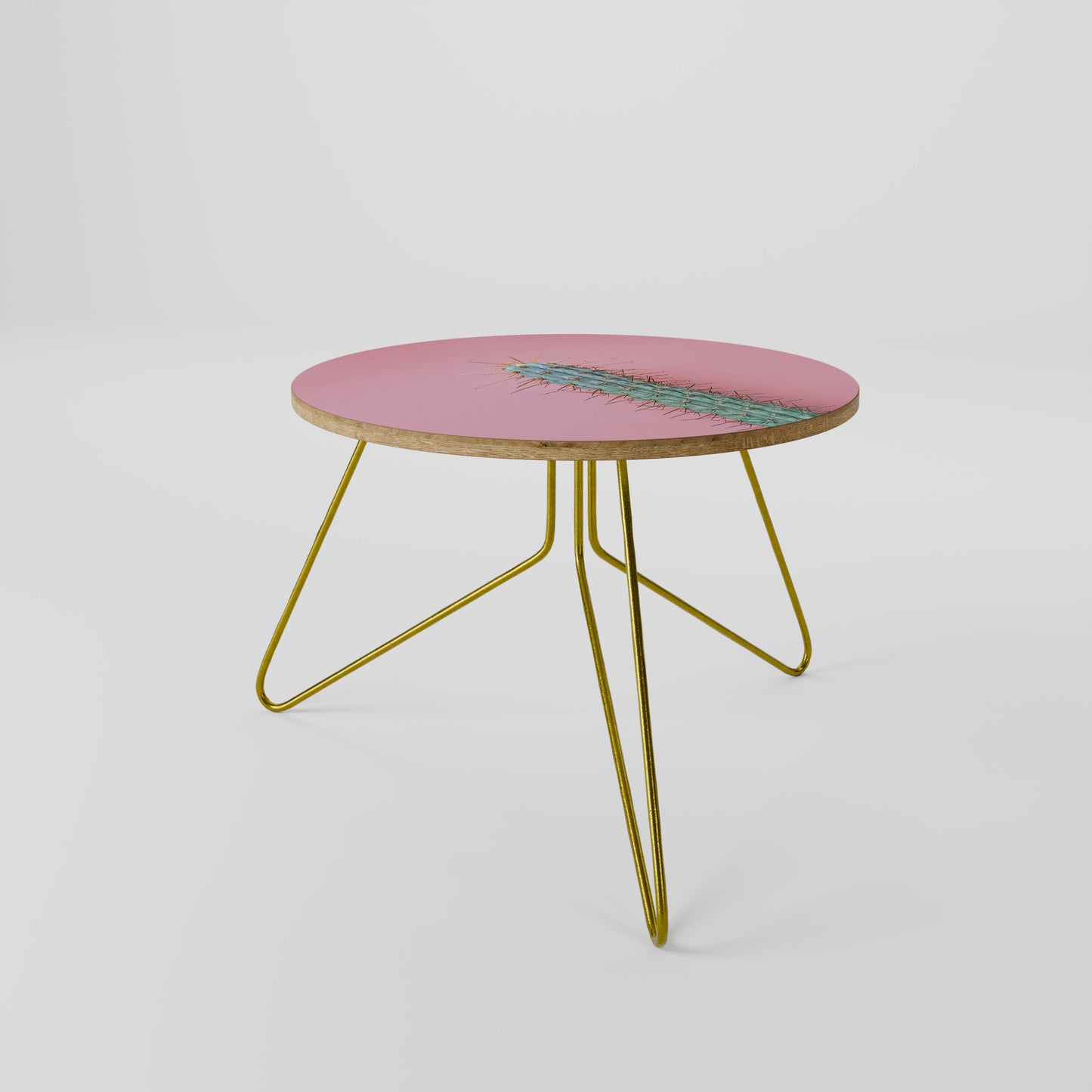 MISTER CACTUS Coffee Table