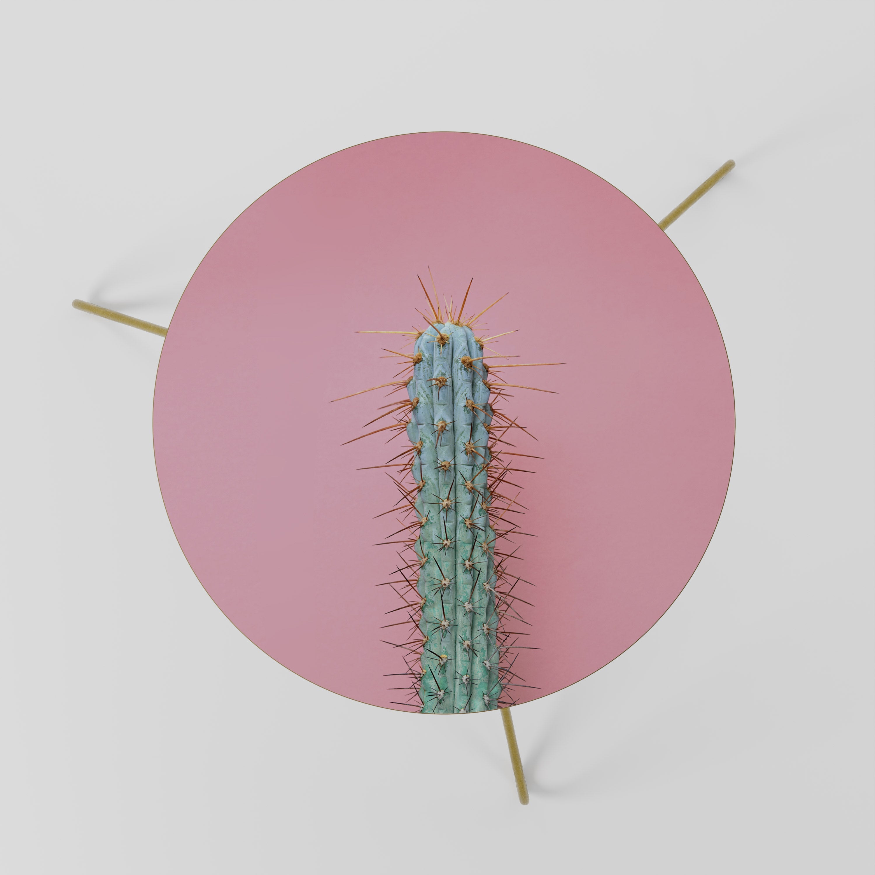 Table basse MISTER CACTUS 60