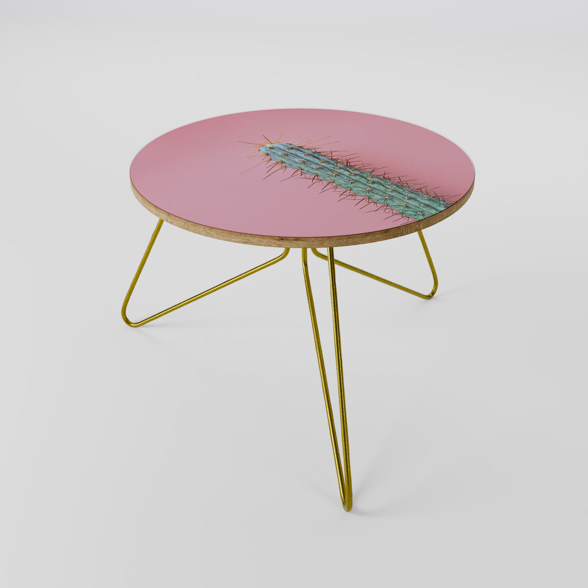 MISTER CACTUS Coffee Table