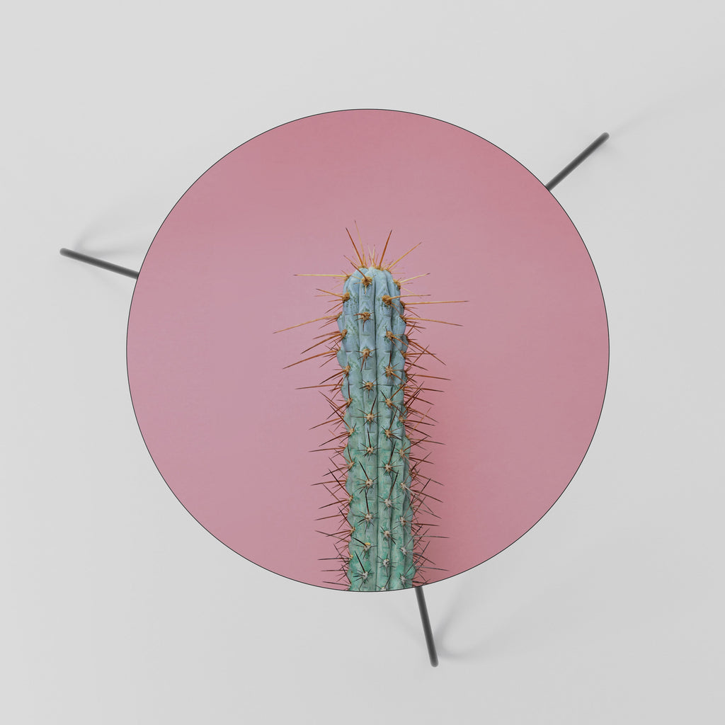 Table basse MISTER CACTUS 60