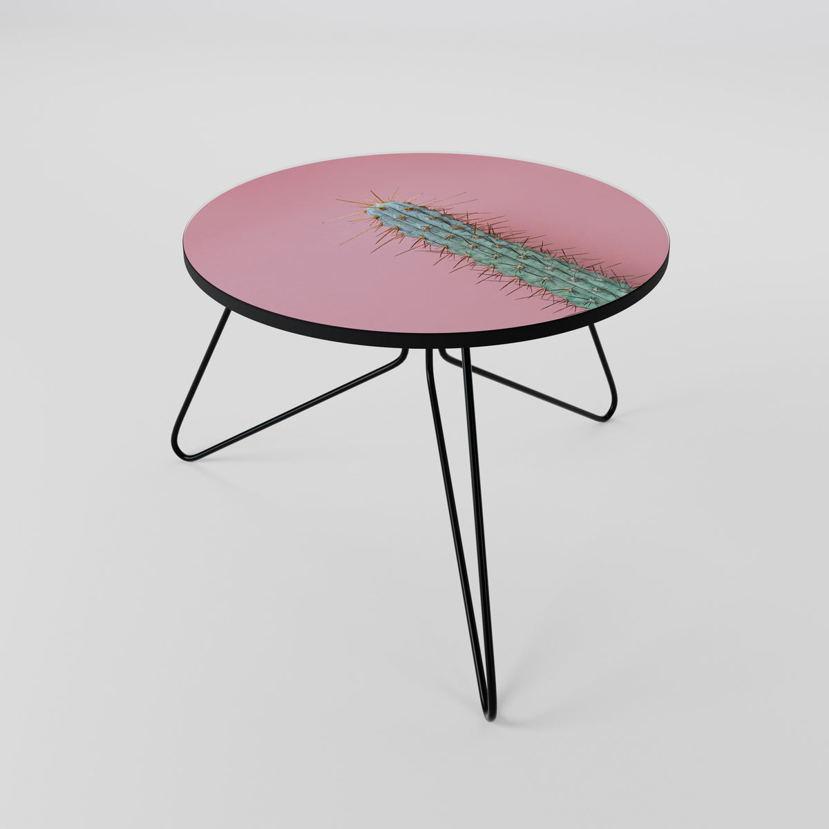 MISTER CACTUS Coffee Table