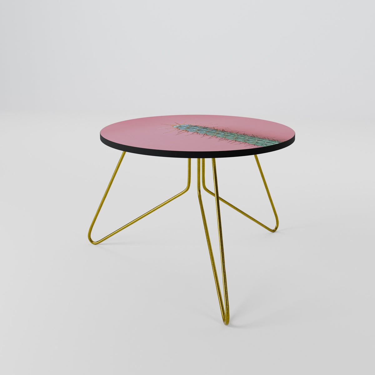 MISTER CACTUS Coffee Table