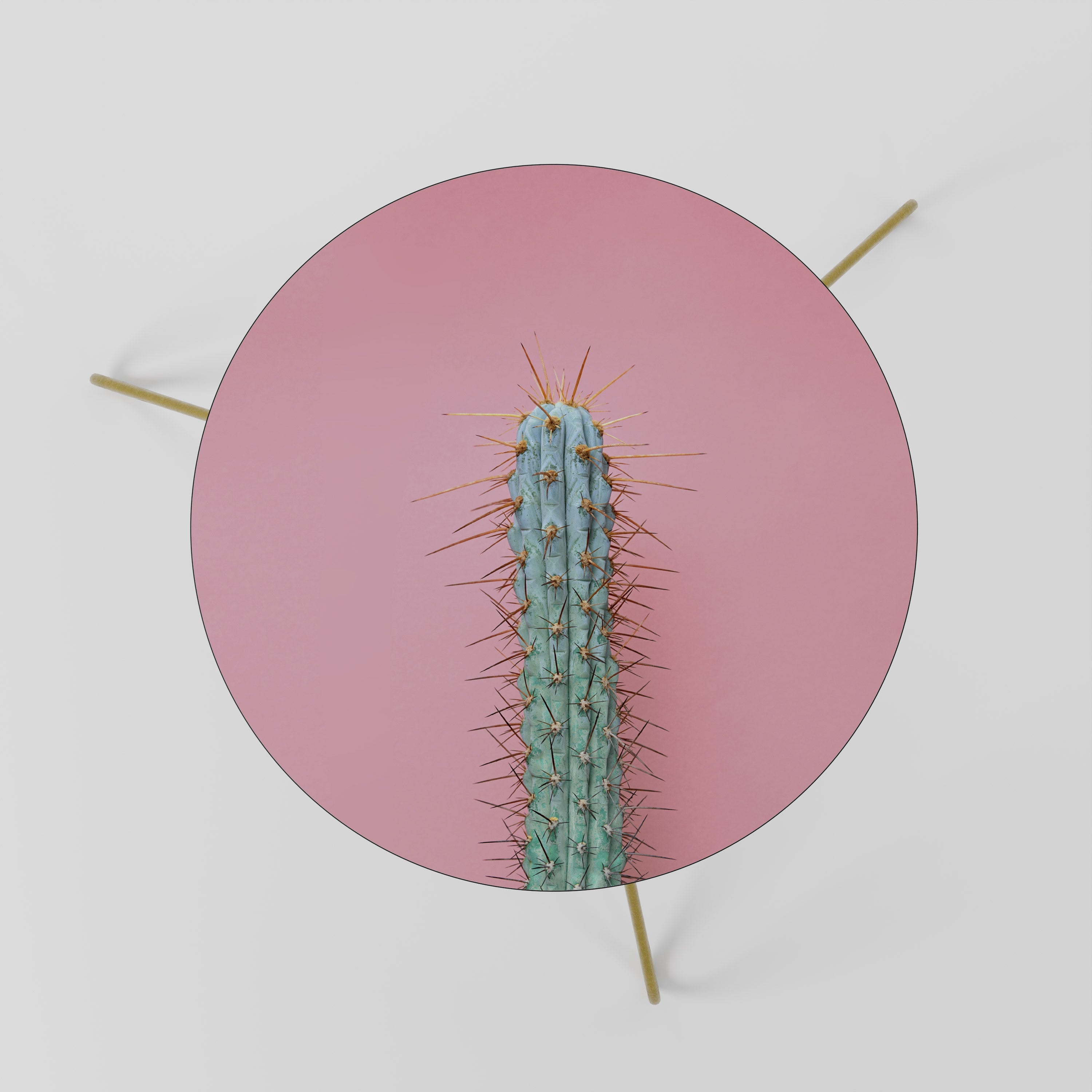 Table basse MISTER CACTUS 60