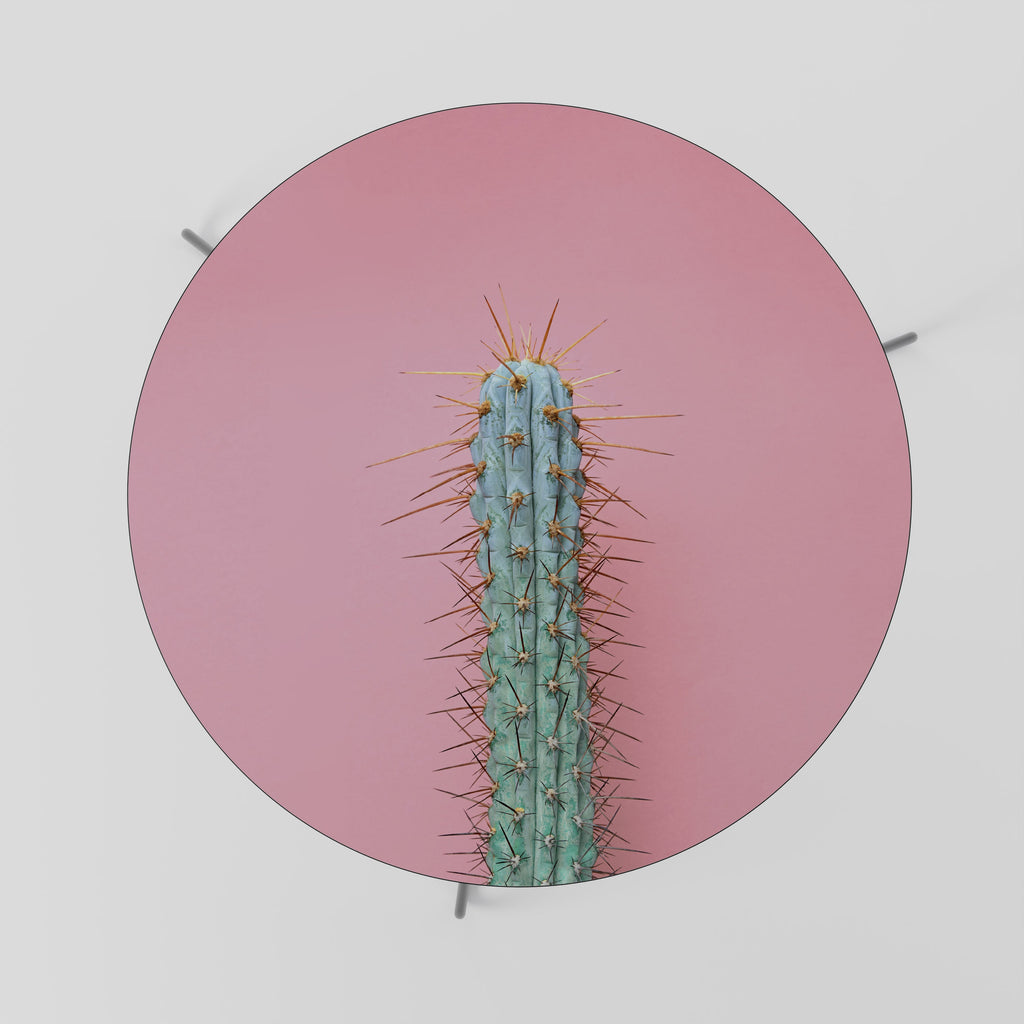 Table basse MISTER CACTUS 69