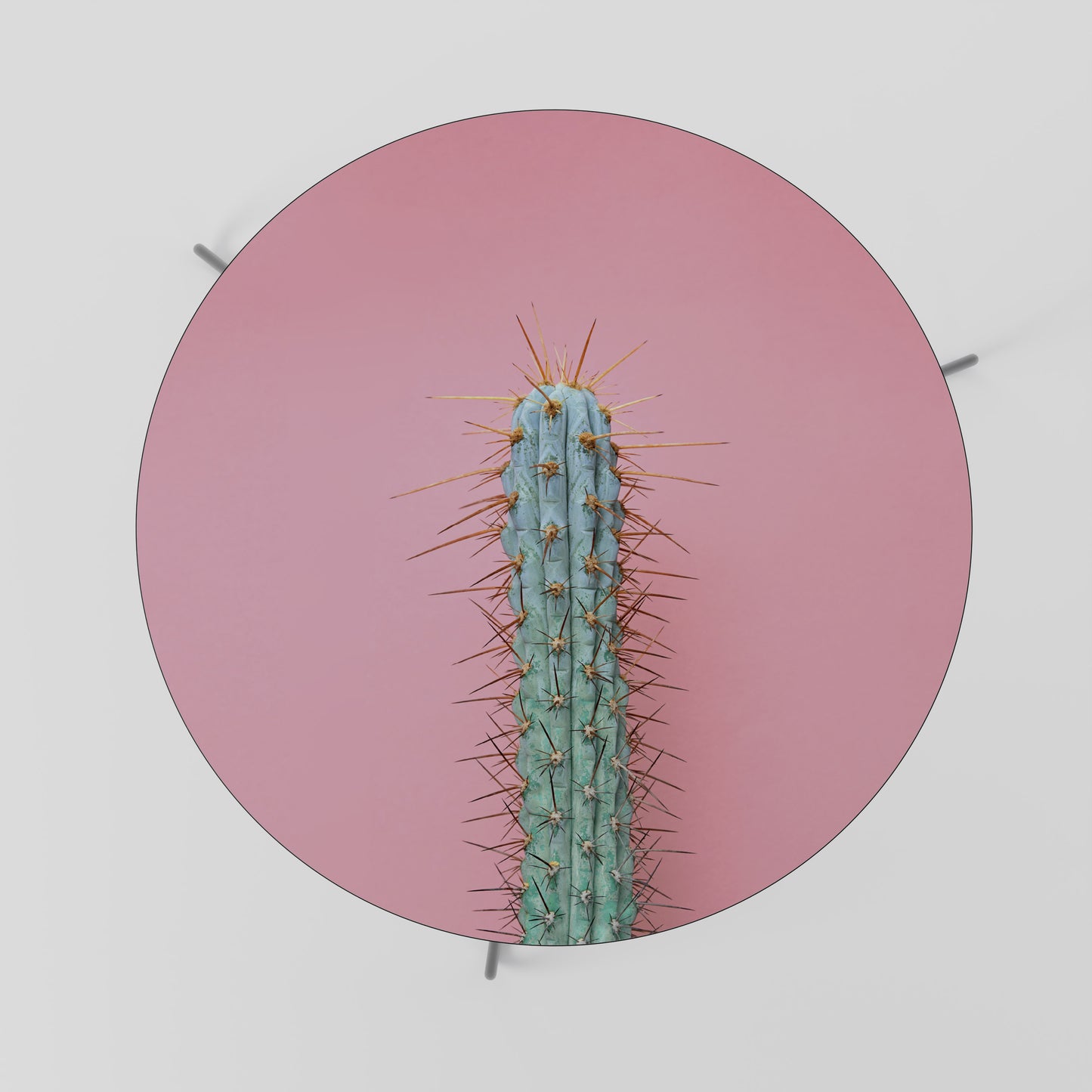 MISTER CACTUS Coffee Table