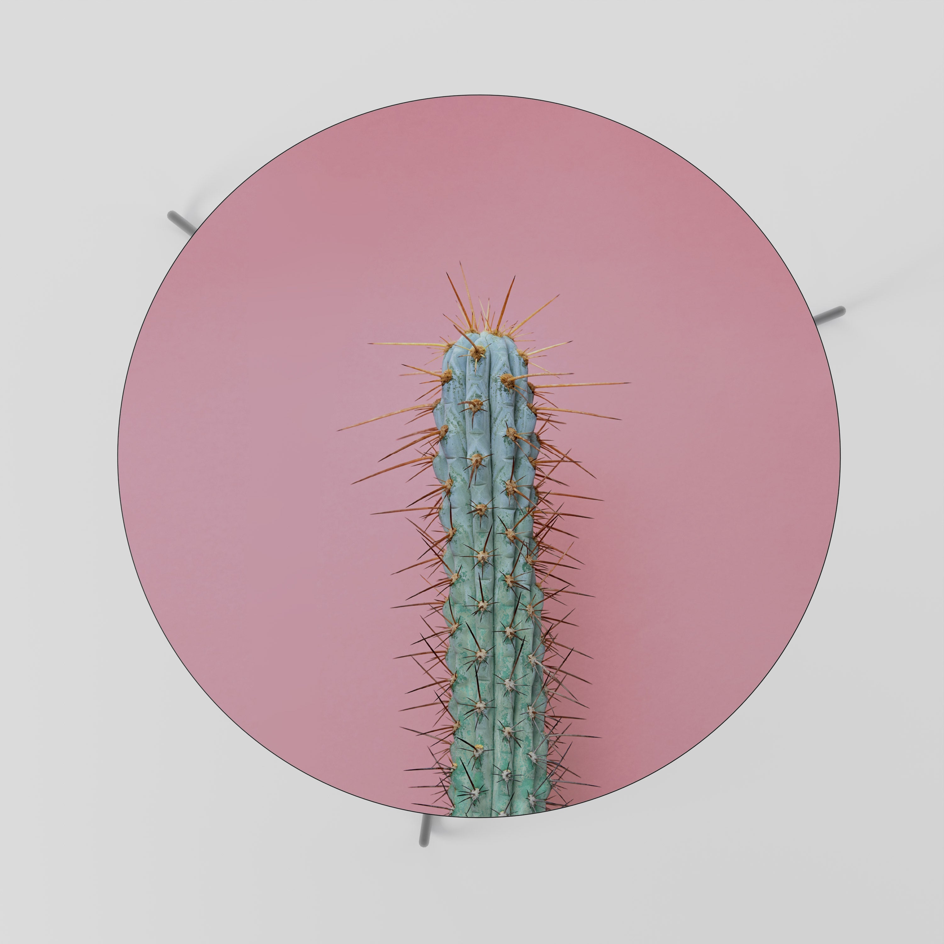 Table basse MISTER CACTUS 69