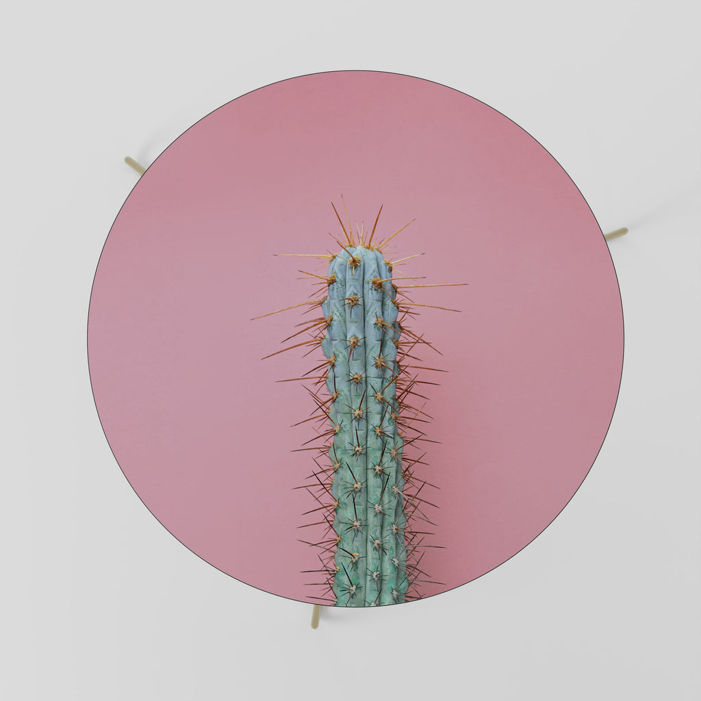 Table basse MISTER CACTUS 69