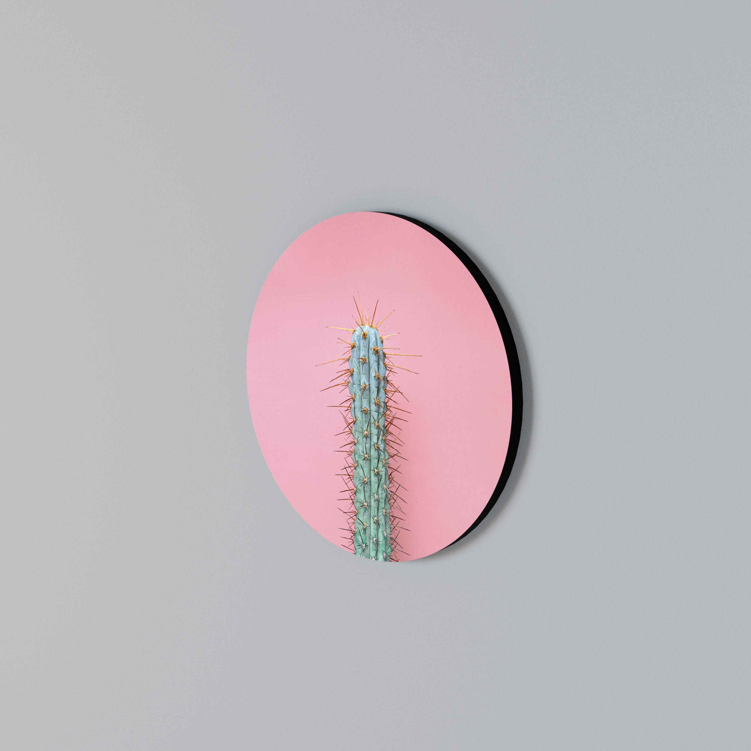 MISTER CACTUS Round Wall Art