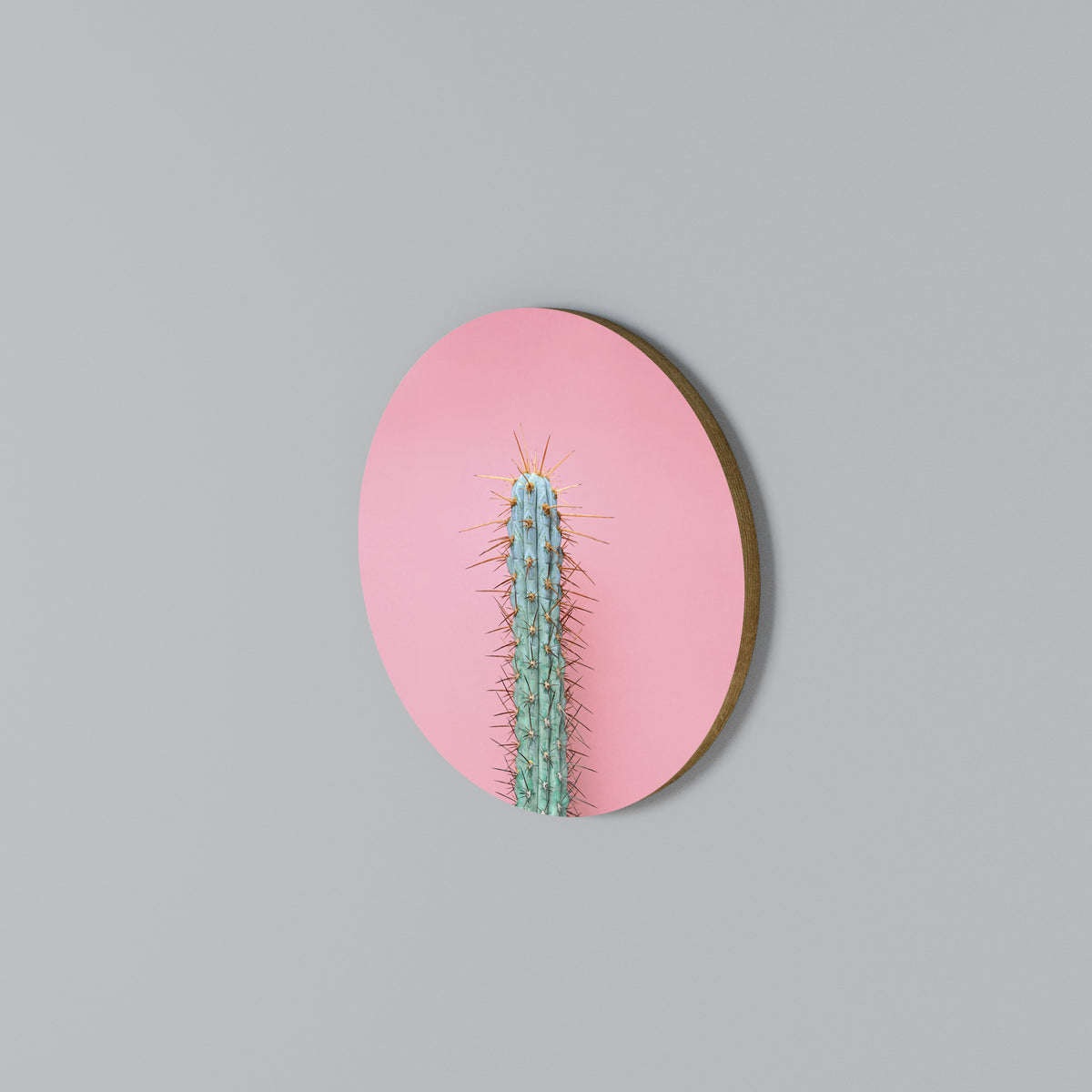 MISTER CACTUS Round Wall Art