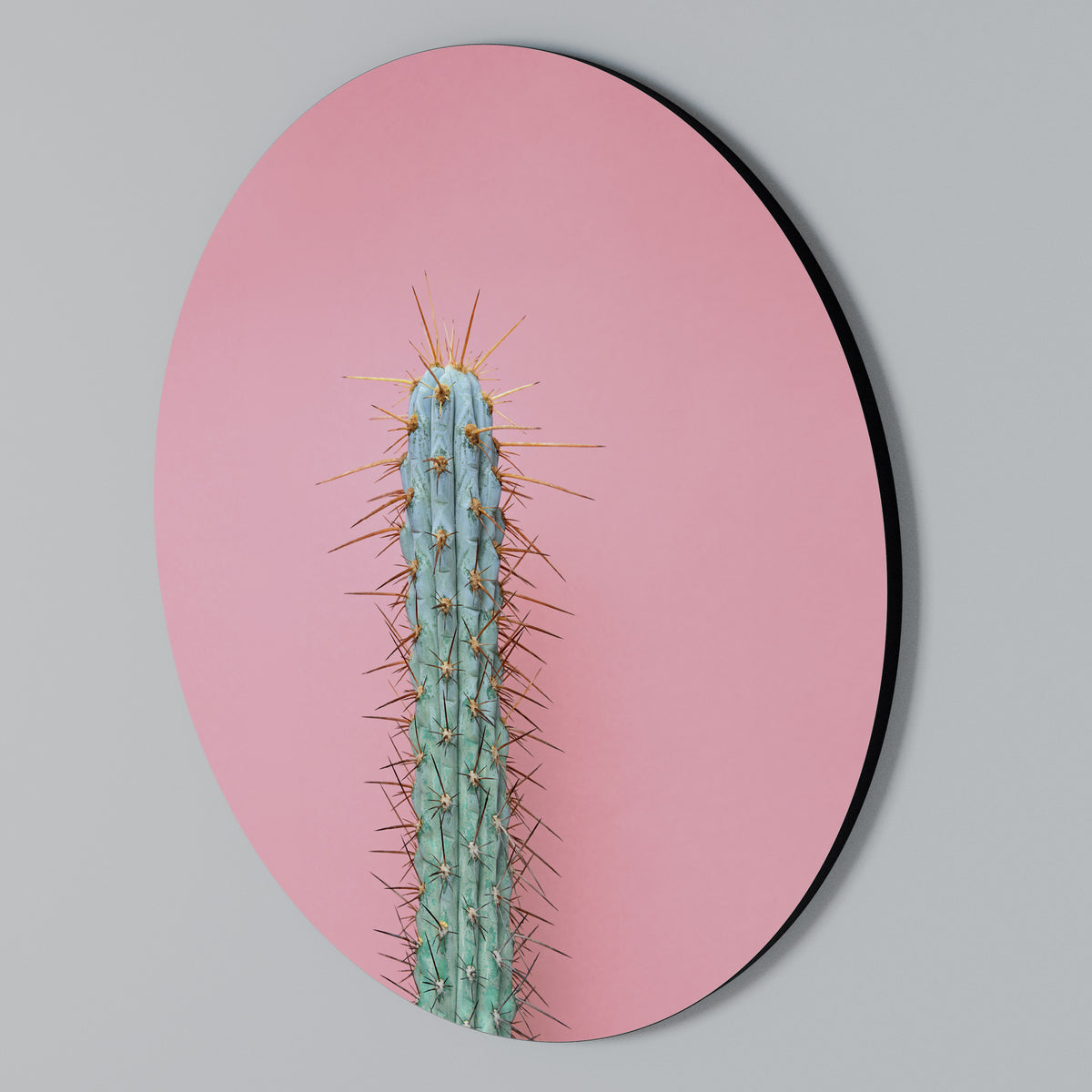 MISTER CACTUS Round Wall Art