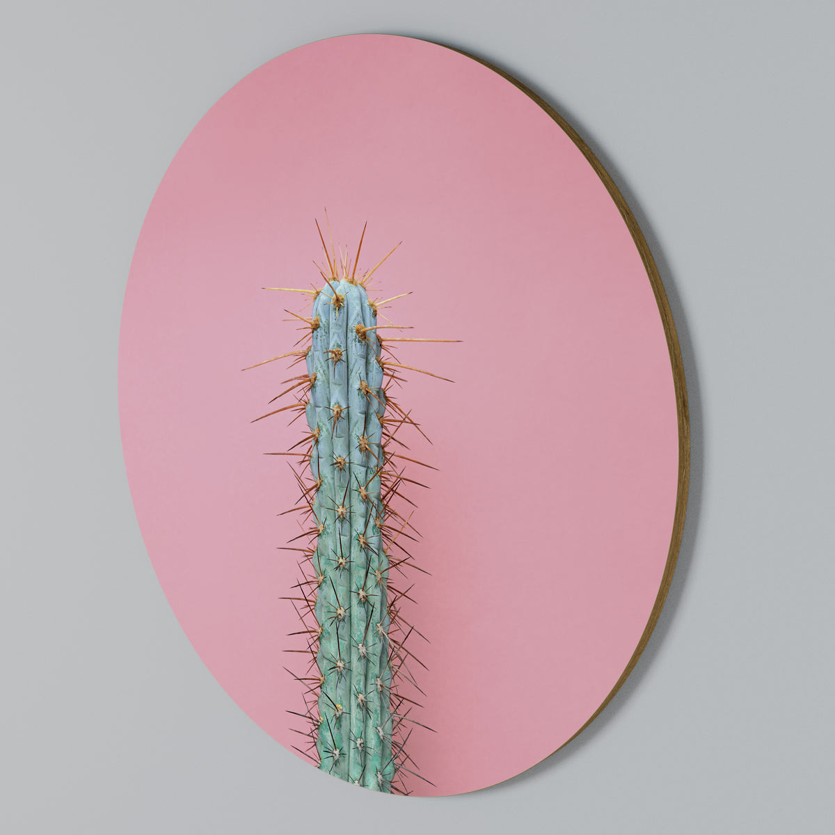 MISTER CACTUS Round Wall Art