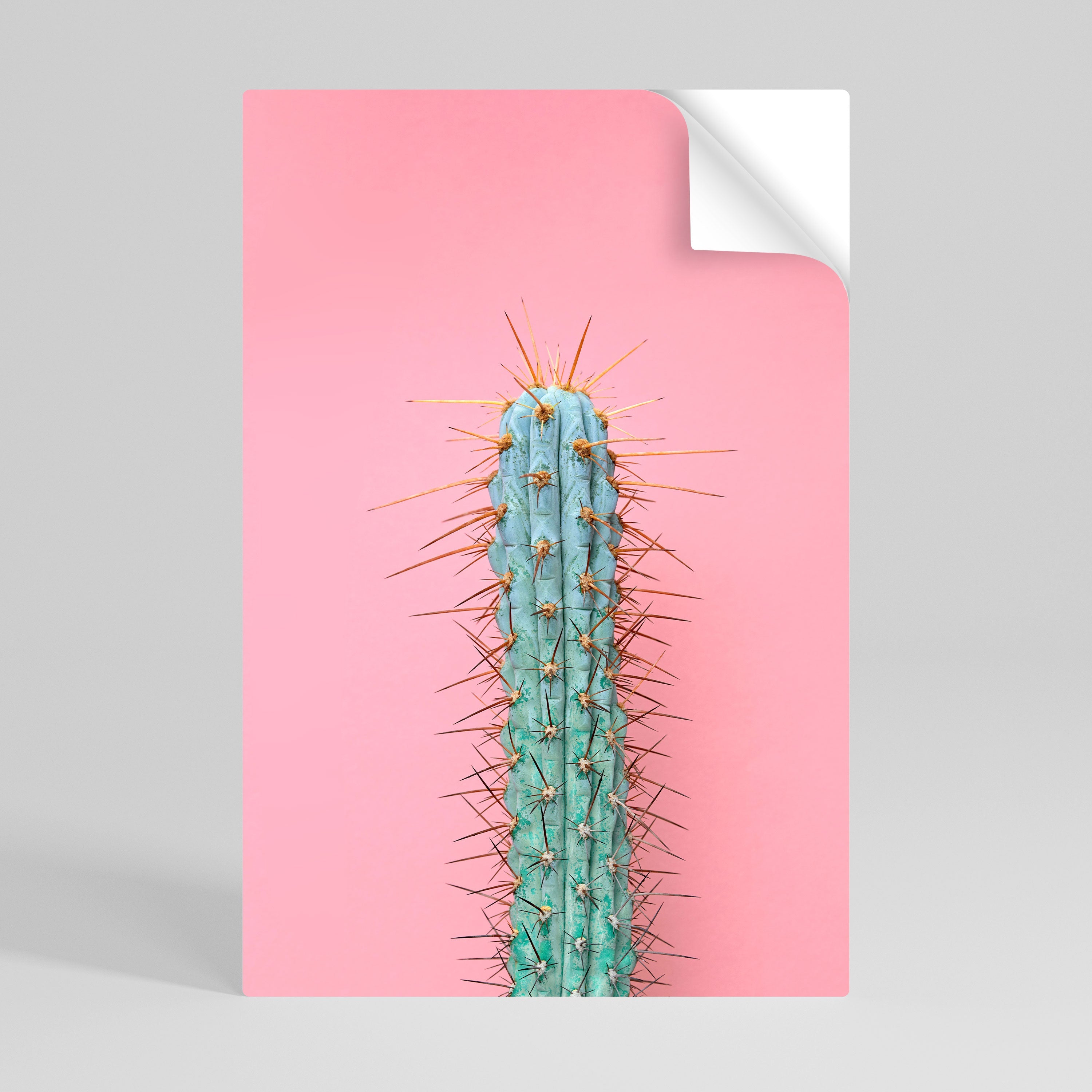 Affiche verticale autocollante MISTER CACTUS