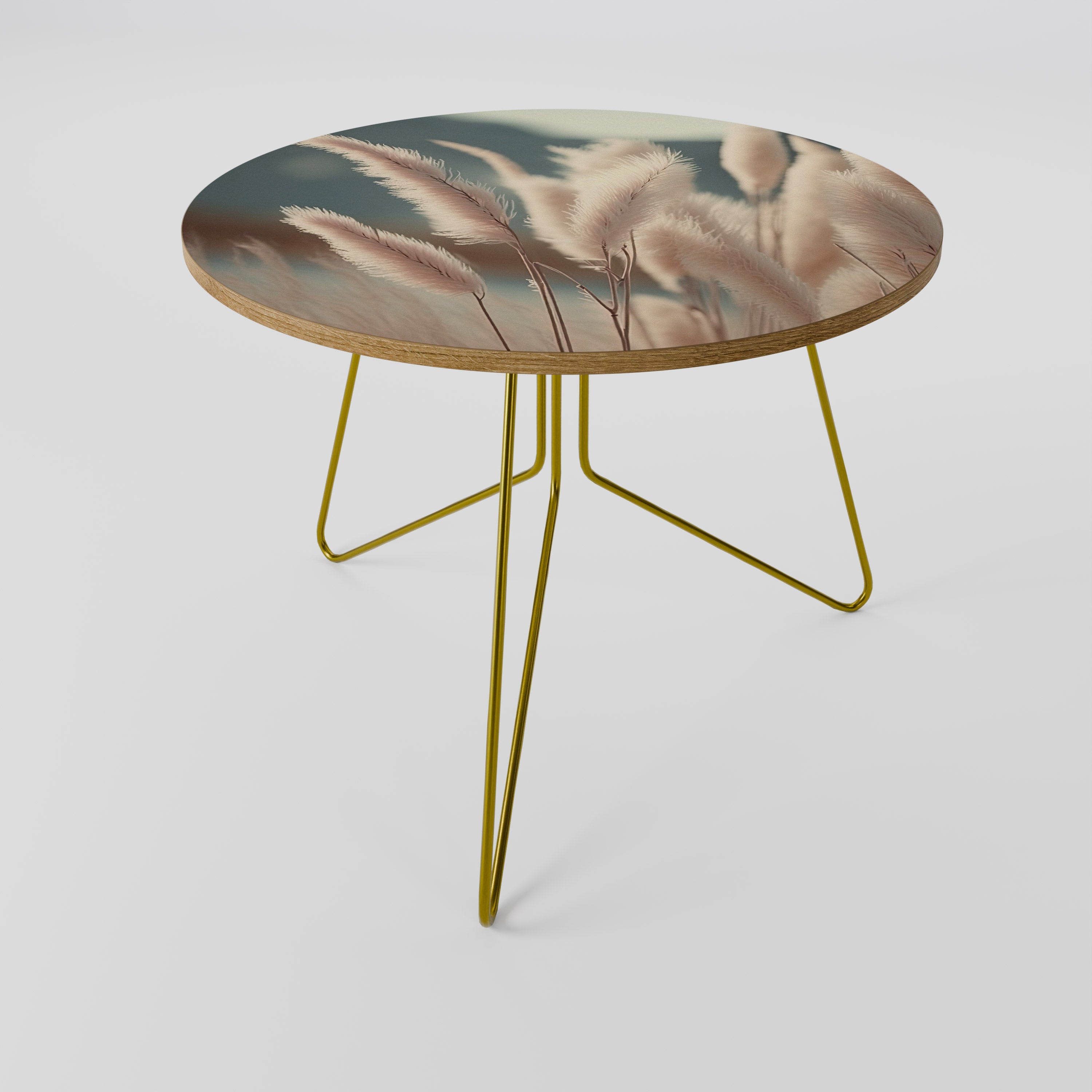 Table basse PAMPAS DREAMSCAPE 69