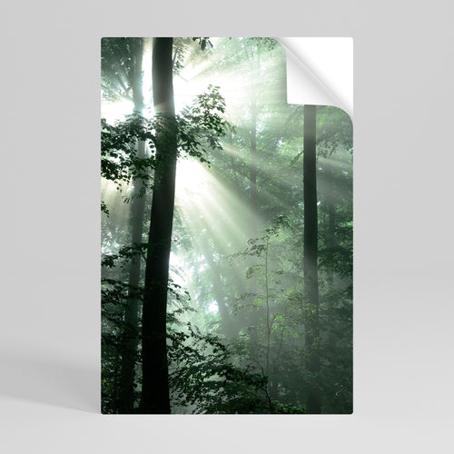 MYSTICAL SUNBEAMS Peel and Stick Vertical Poster