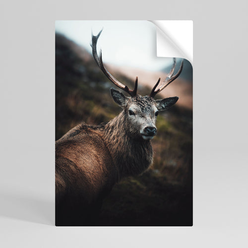 ELEGANT WILDERNESS GUARDIAN Peel and Stick Vertical Poster