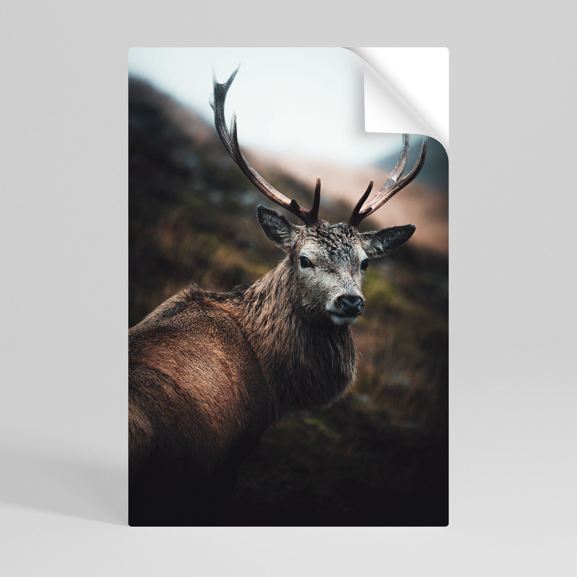 Affiche verticale autocollante « ÉLÉGANT GARDIEN DE LA NATURE SAUVAGE »