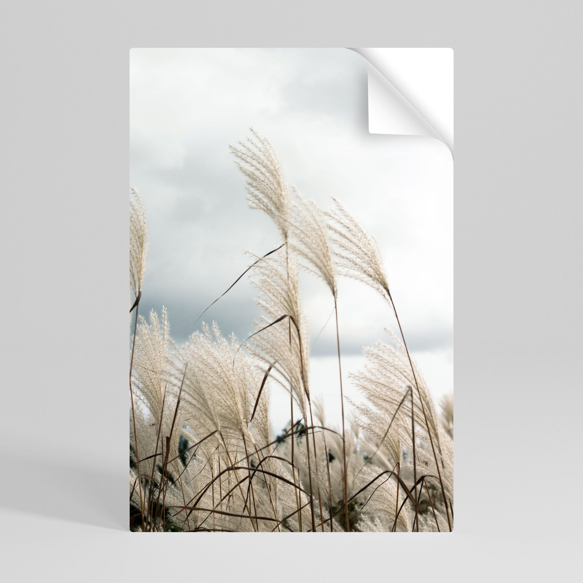 Affiche verticale autocollante NUAGES AU-DESSUS DE L'HERBE