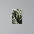 SHARP MONSTERA Vertical Canvas Print