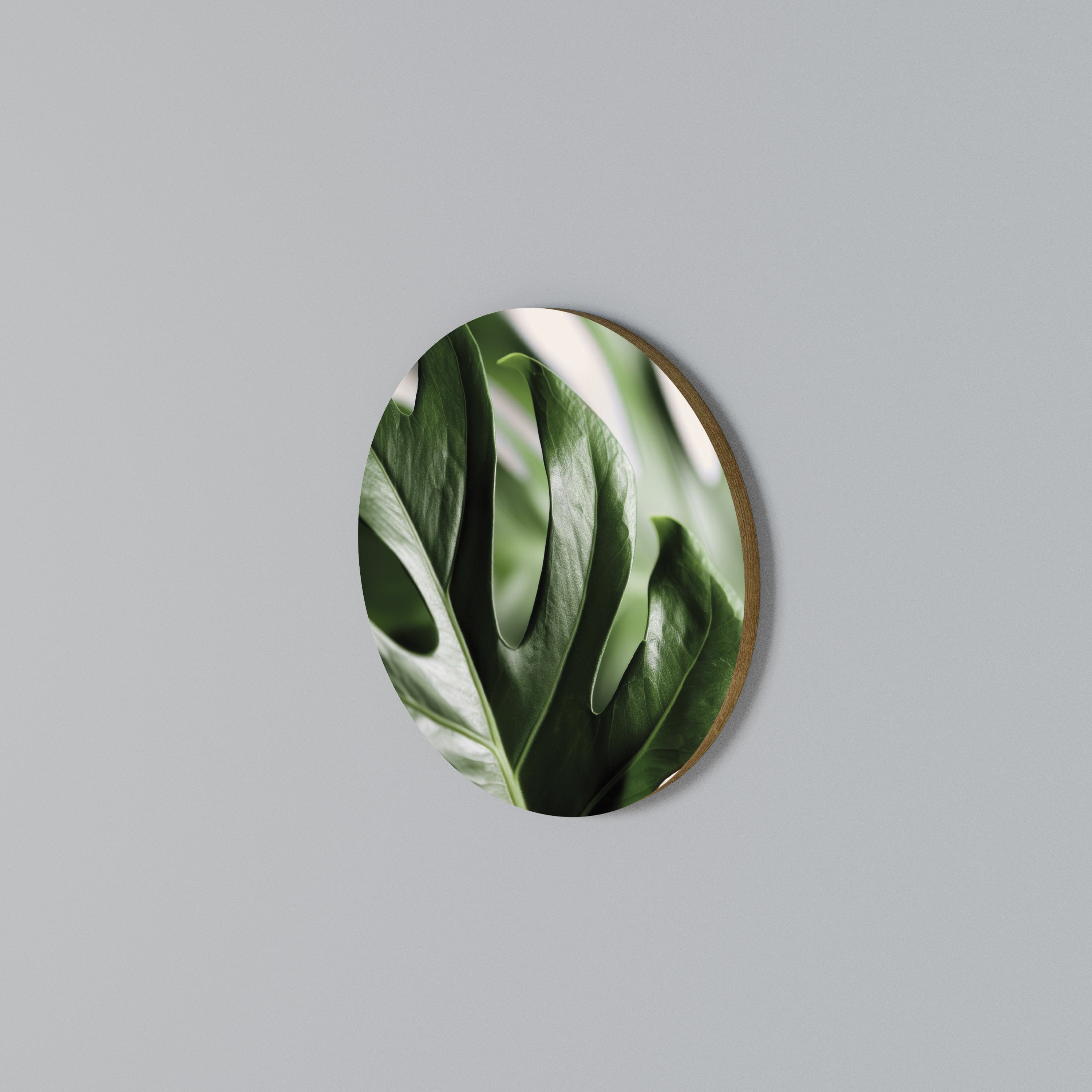 SHARP MONSTERA Round Wall Art