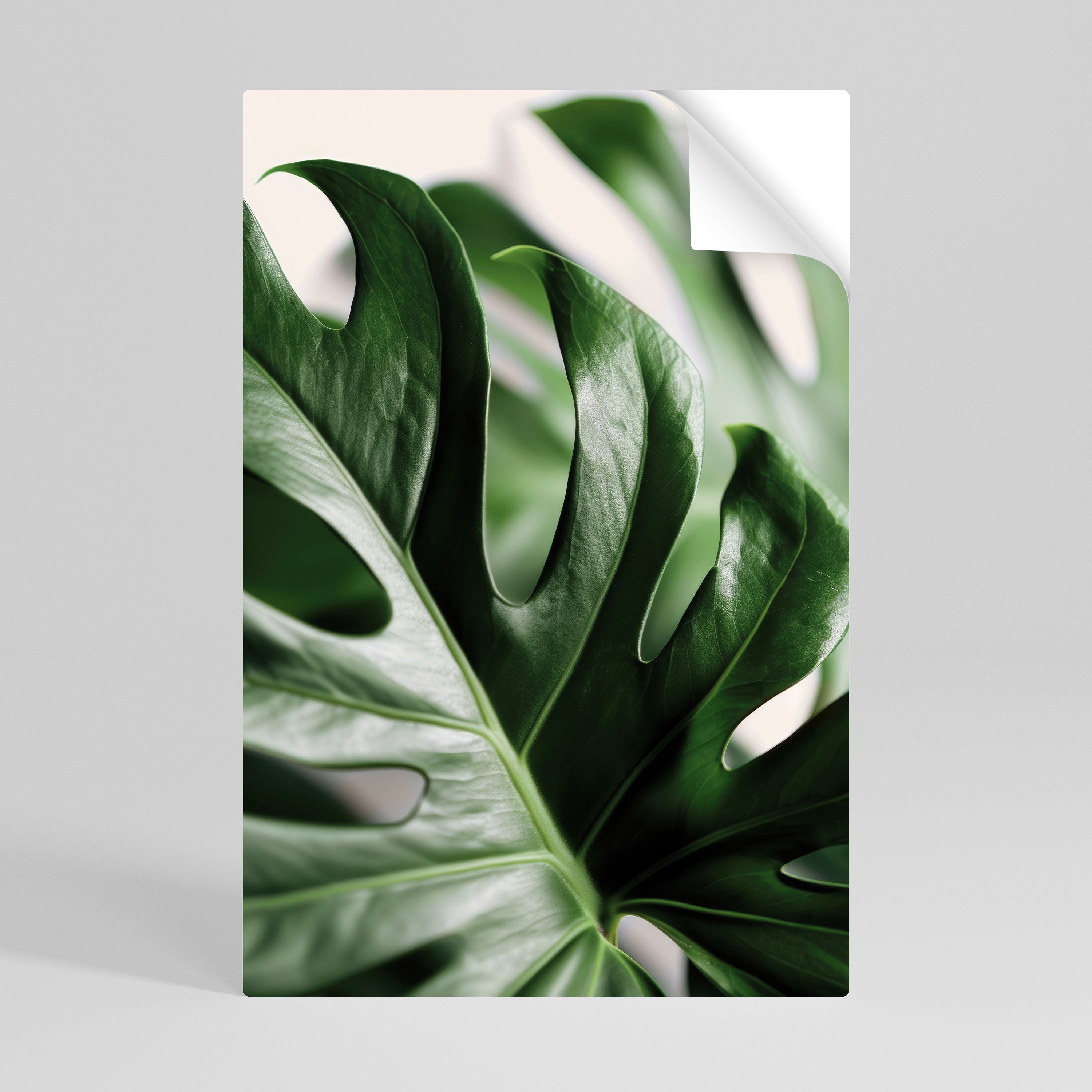 Affiche verticale autocollante SHARP MONSTERA
