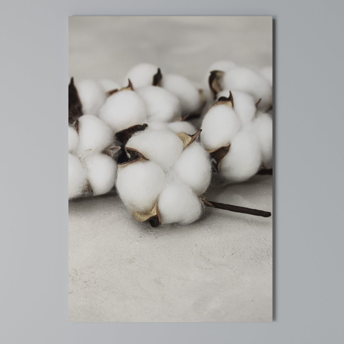 COTTON CLOUDS WHISPERS Vertical Canvas Print