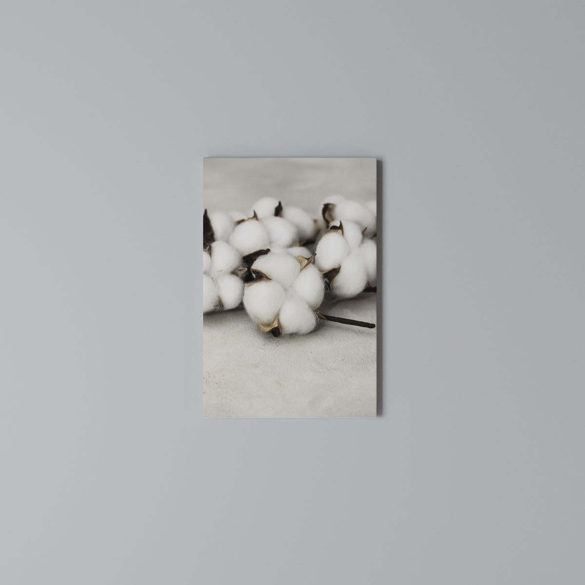COTTON CLOUDS WHISPERS Vertical Canvas Print