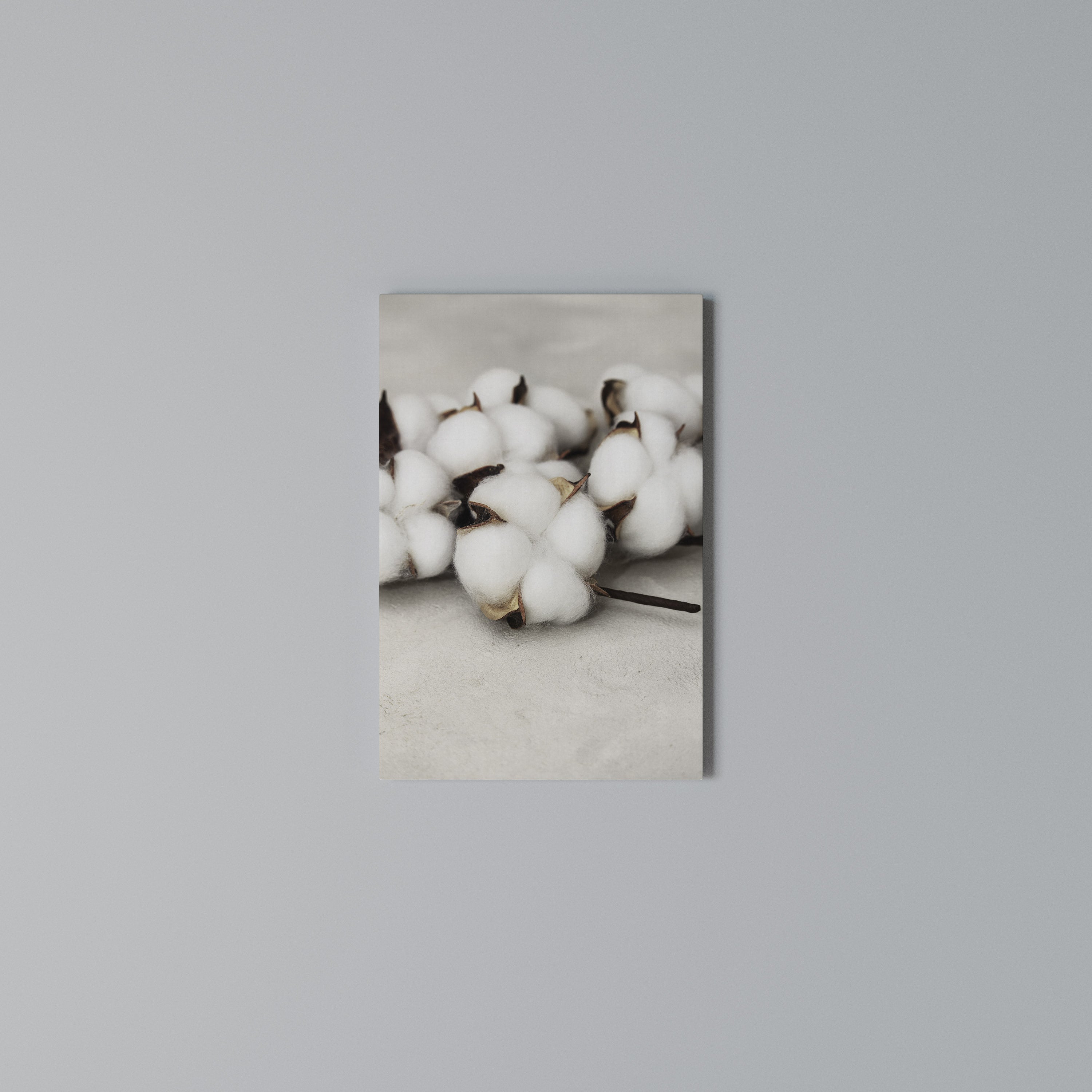 COTTON CLOUDS WHISPERS Vertical Canvas Print