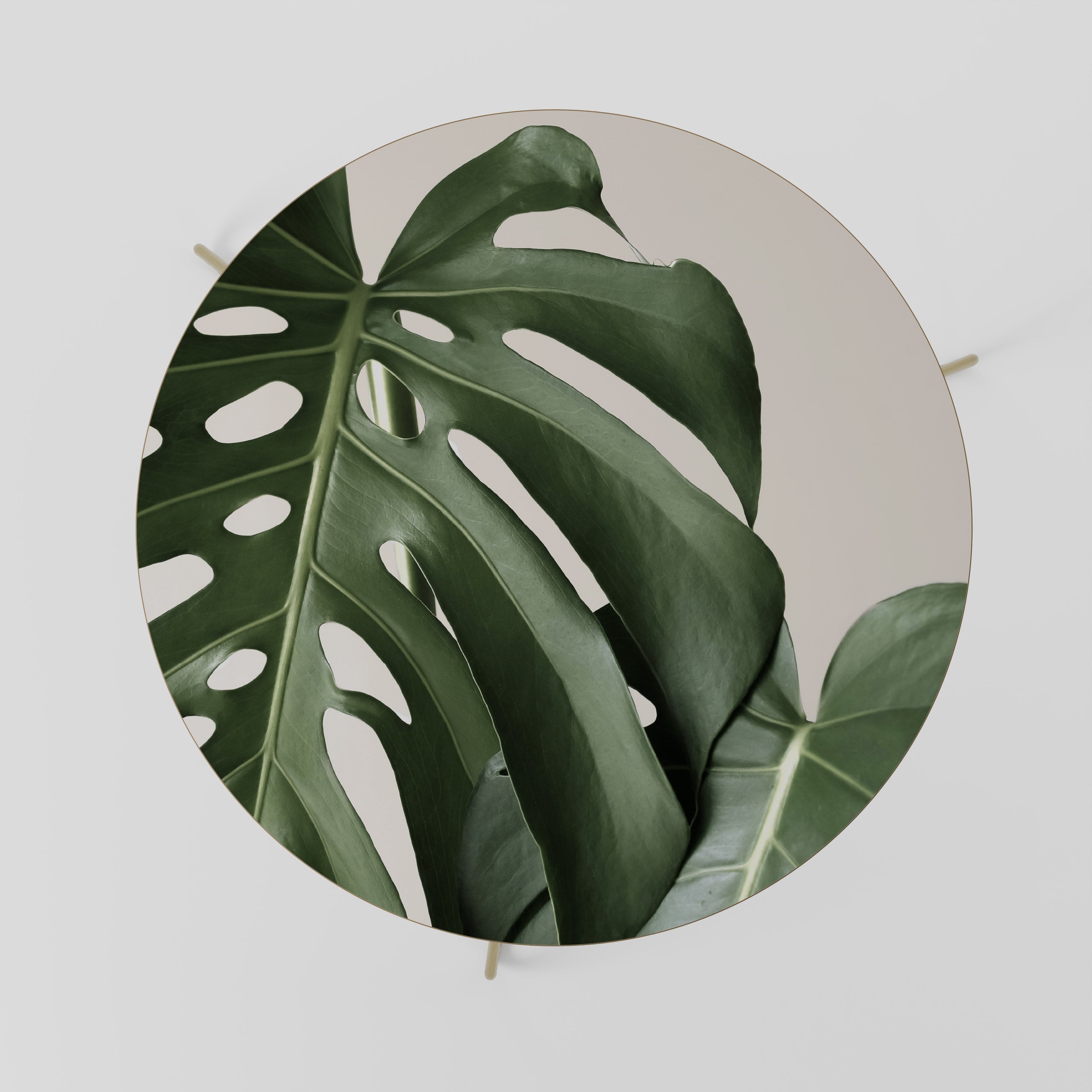 Table basse MONSTERA ACCURACY 69