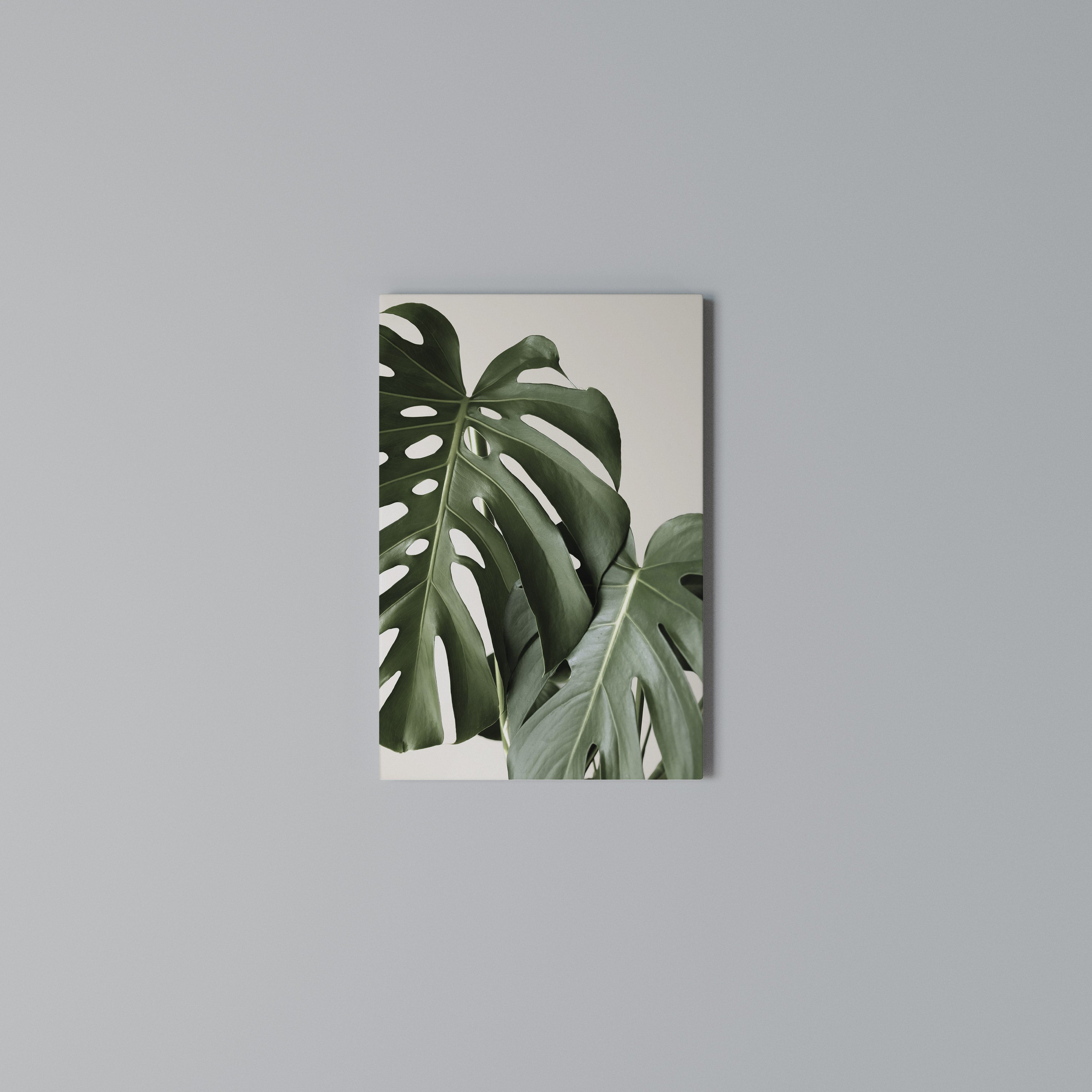 MONSTERA ACCURACY Vertical Canvas Print