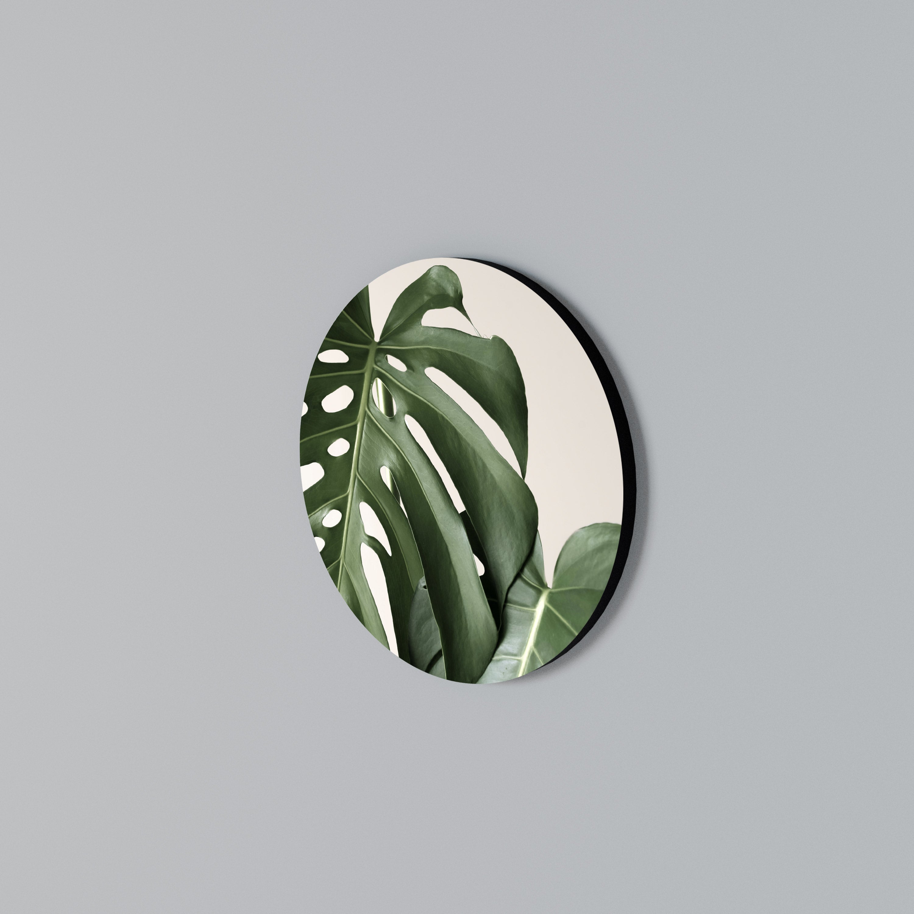 MONSTERA ACCURACY Round Wall Art