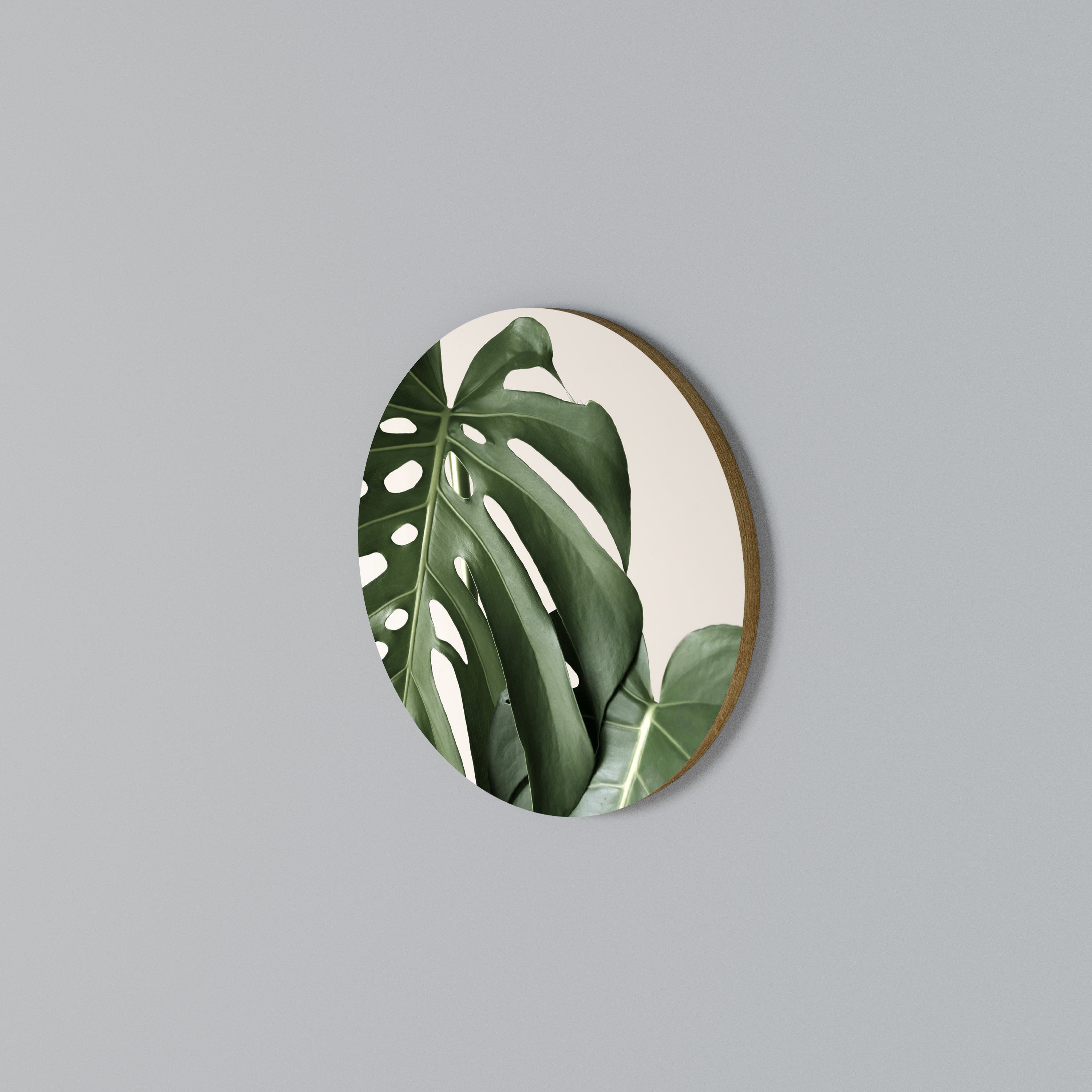 MONSTERA ACCURACY Round Wall Art