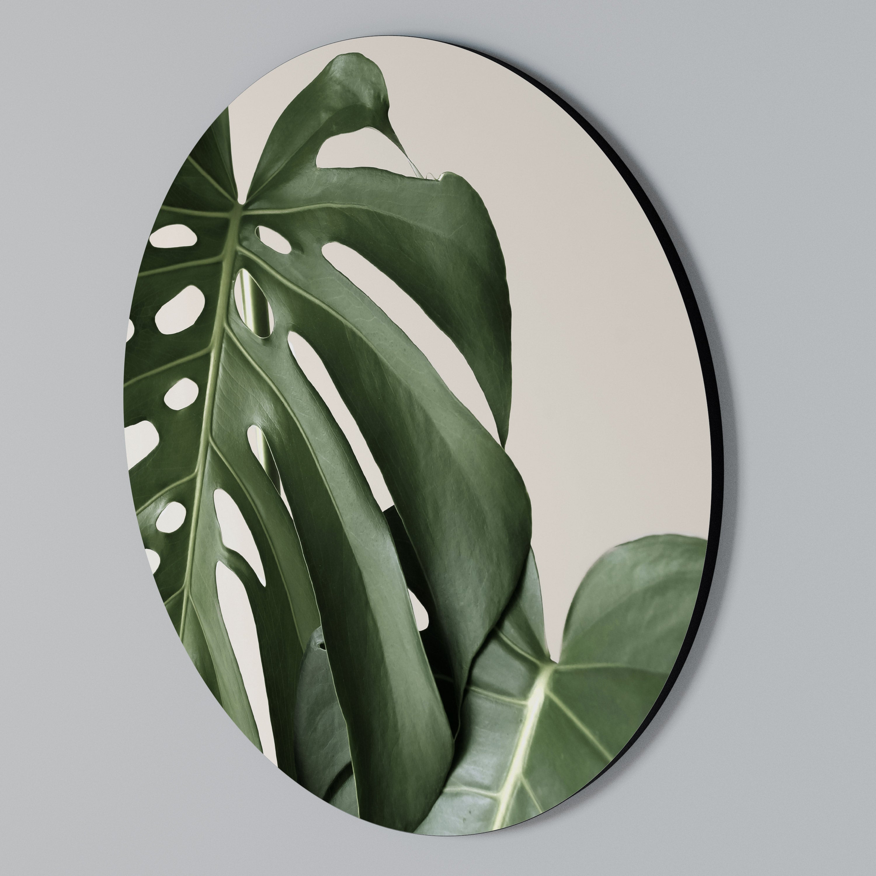 MONSTERA ACCURACY Round Wall Art