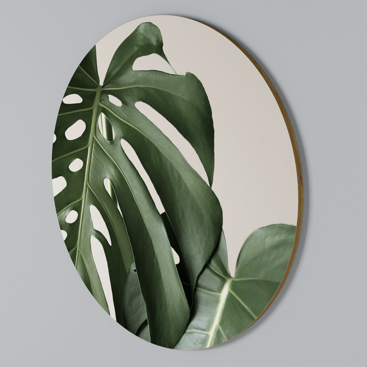MONSTERA ACCURACY Round Wall Art