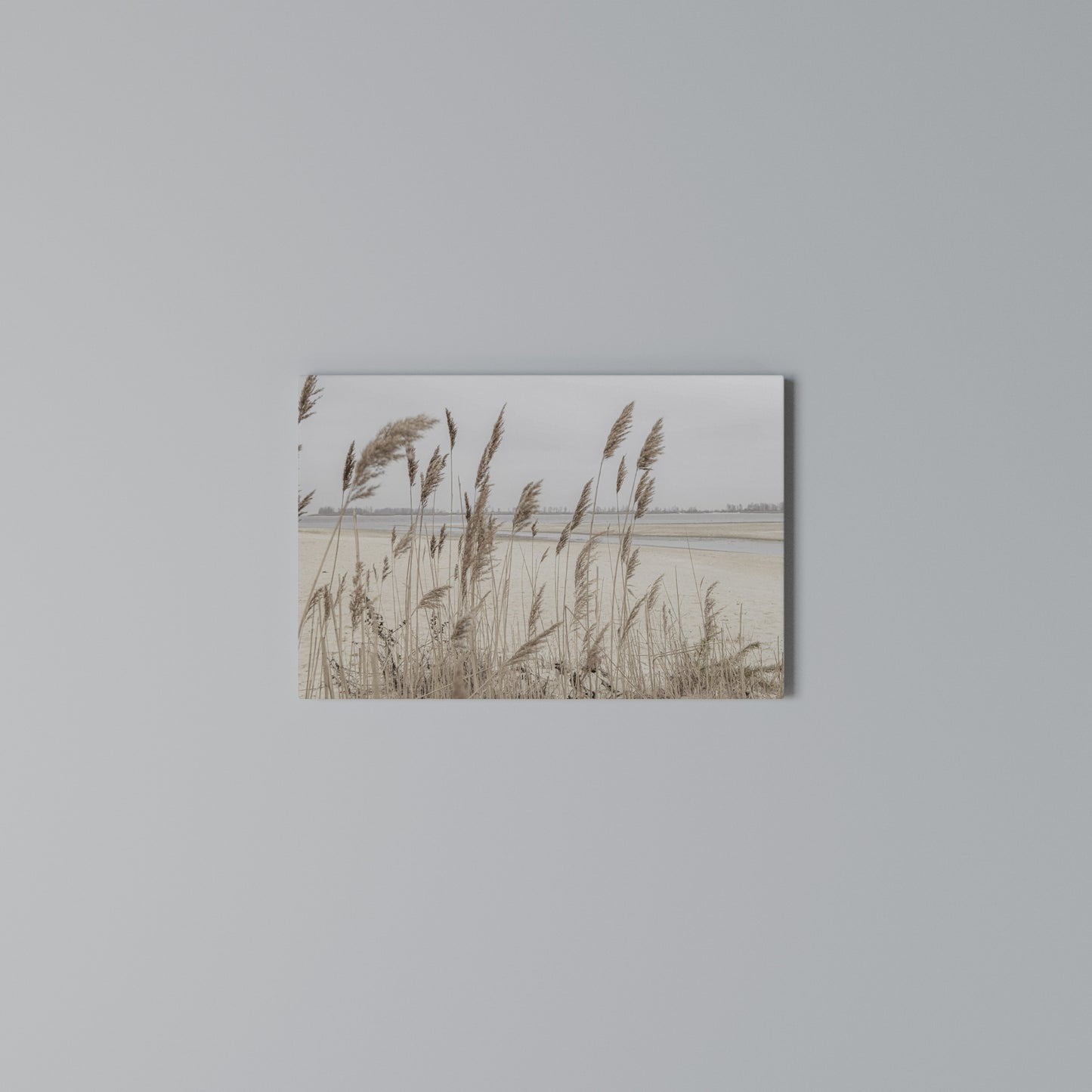 BREEZY STRAW HARMONY Horizontal Canvas Print