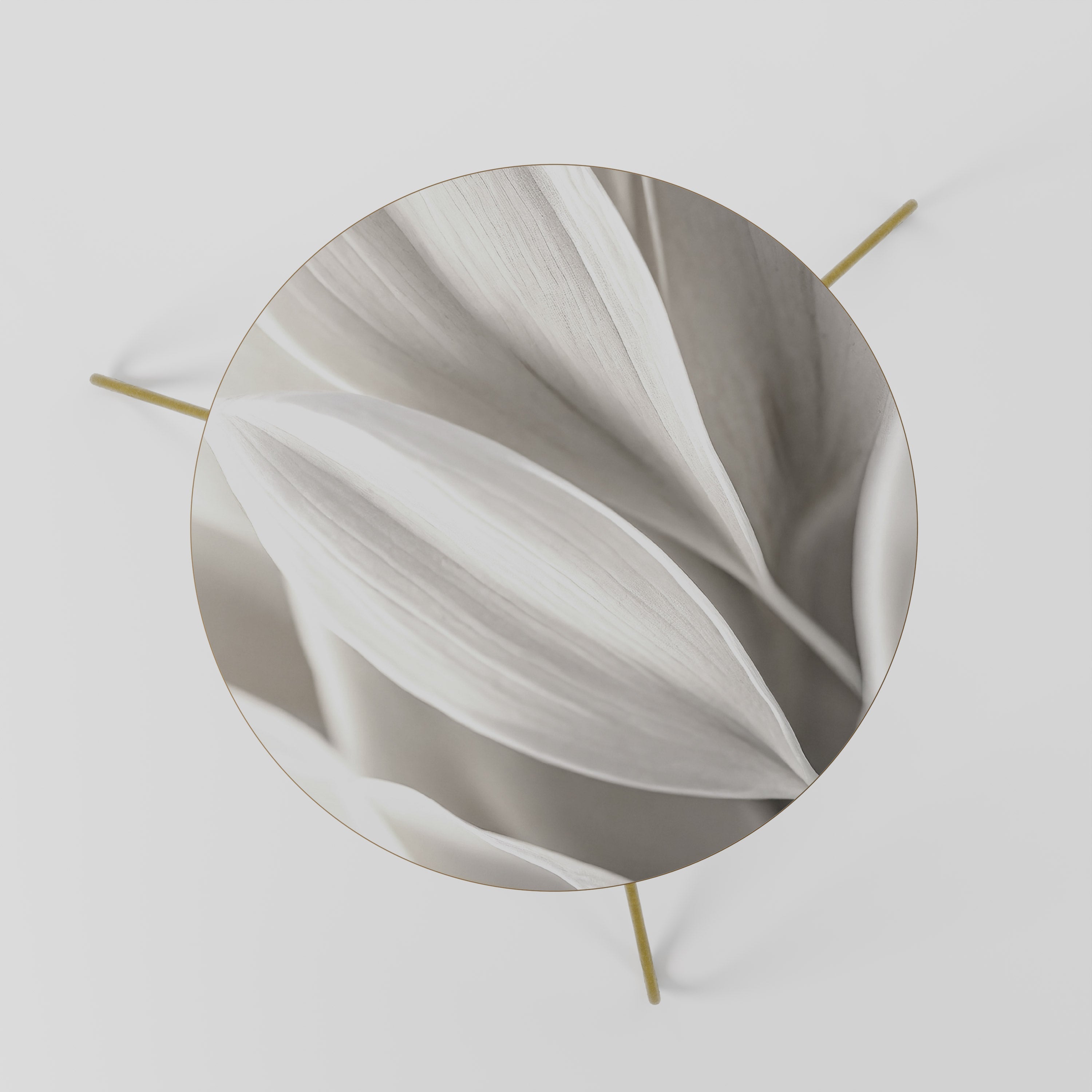 Table basse WHISPERS OF WHITE 60