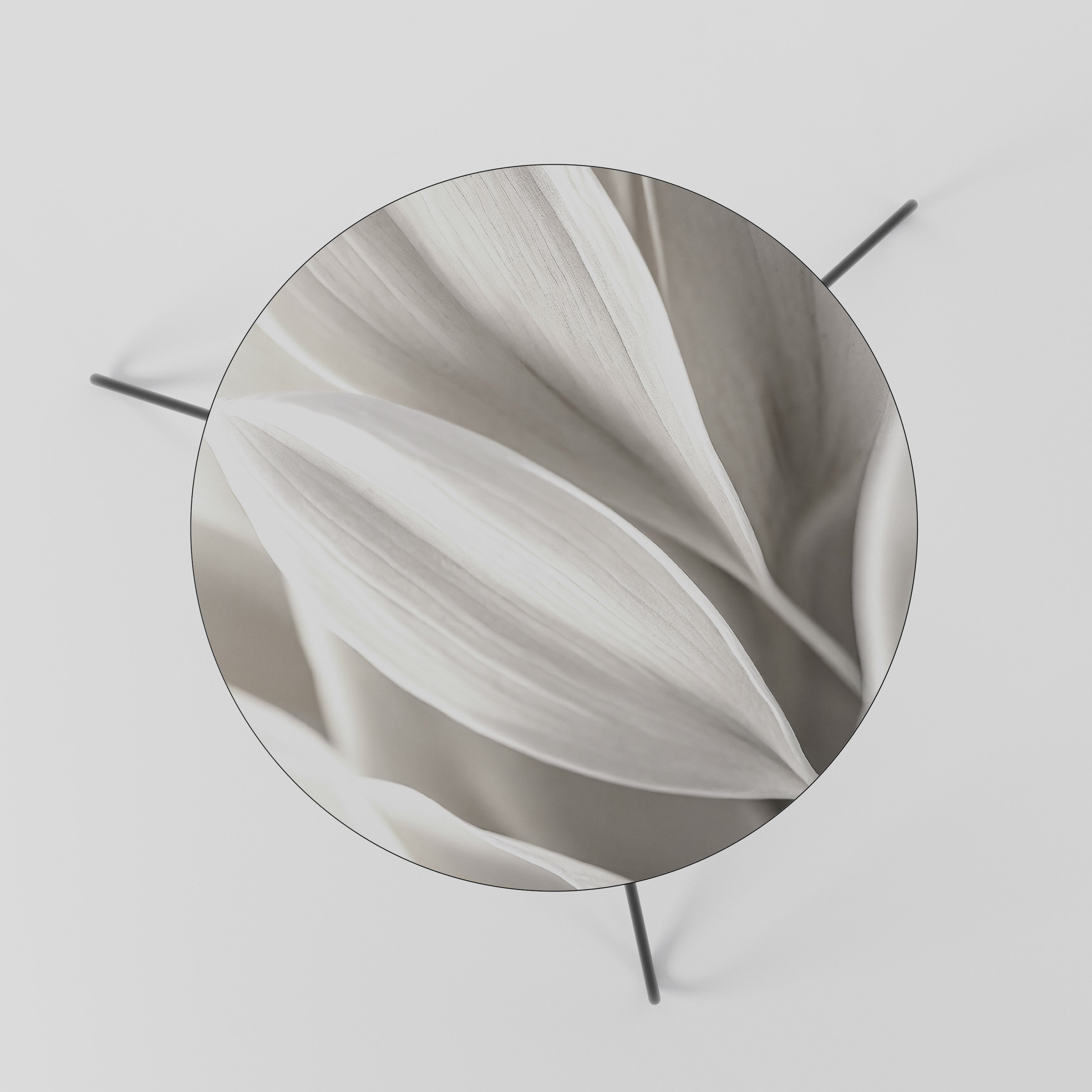 Table basse WHISPERS OF WHITE 60